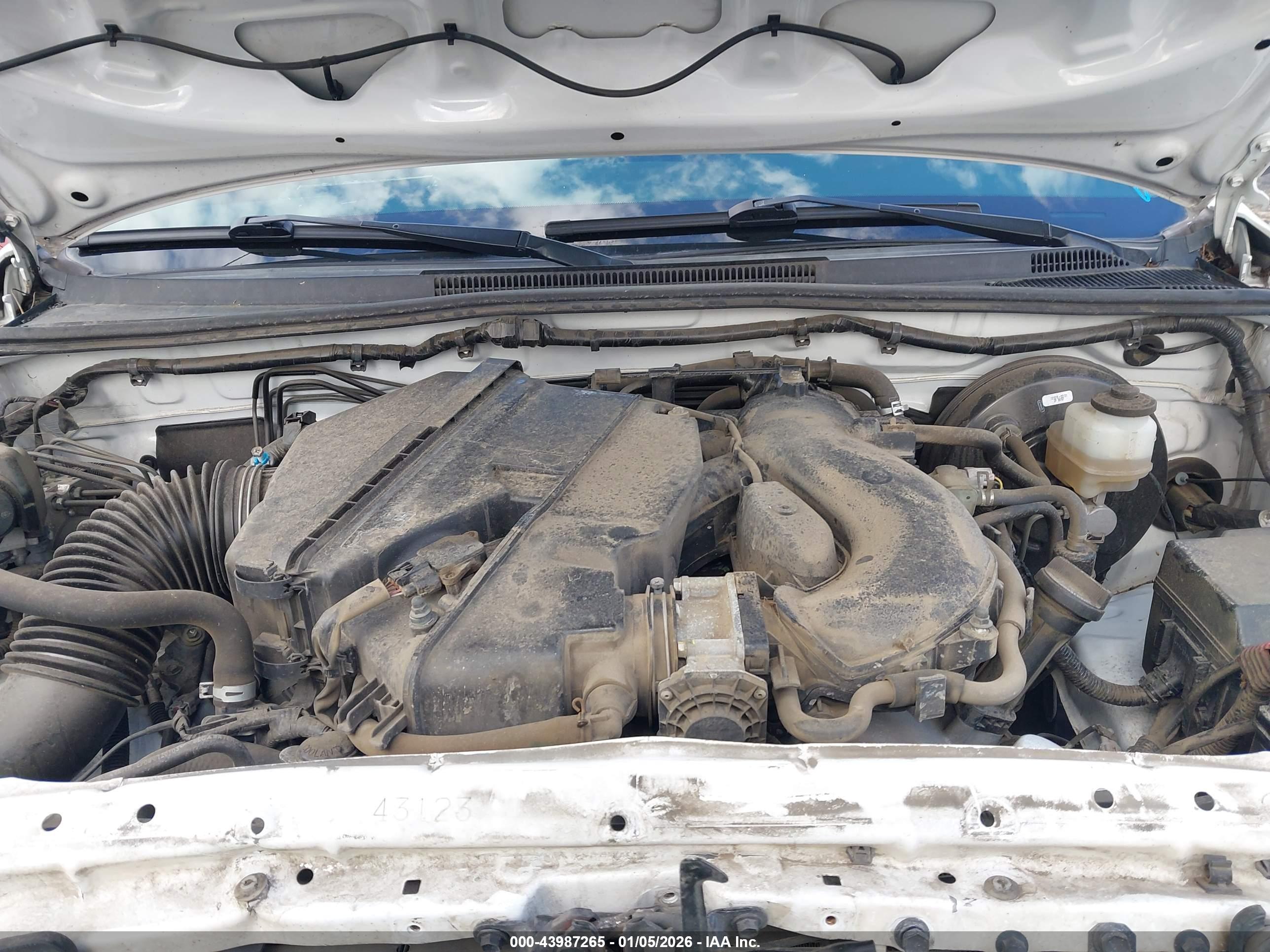 TOYOTA TACOMA image 10