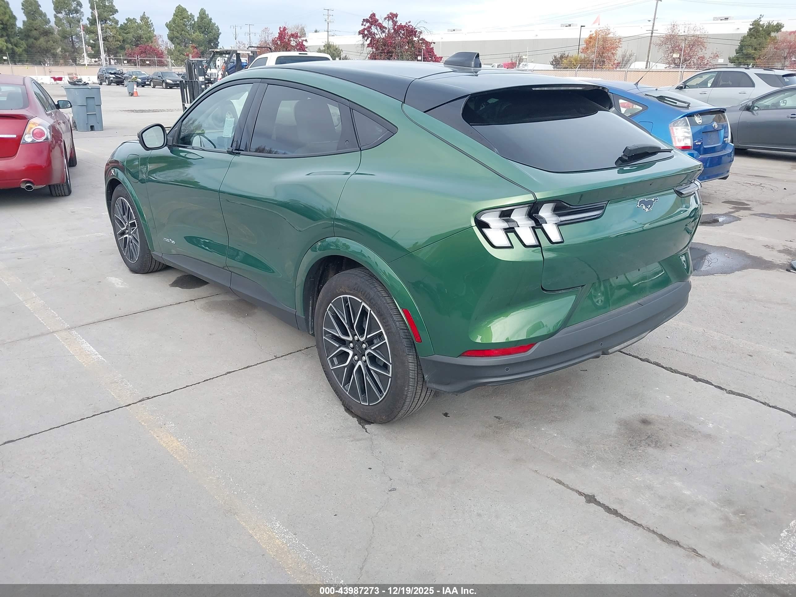 FORD MUSTANG image 3