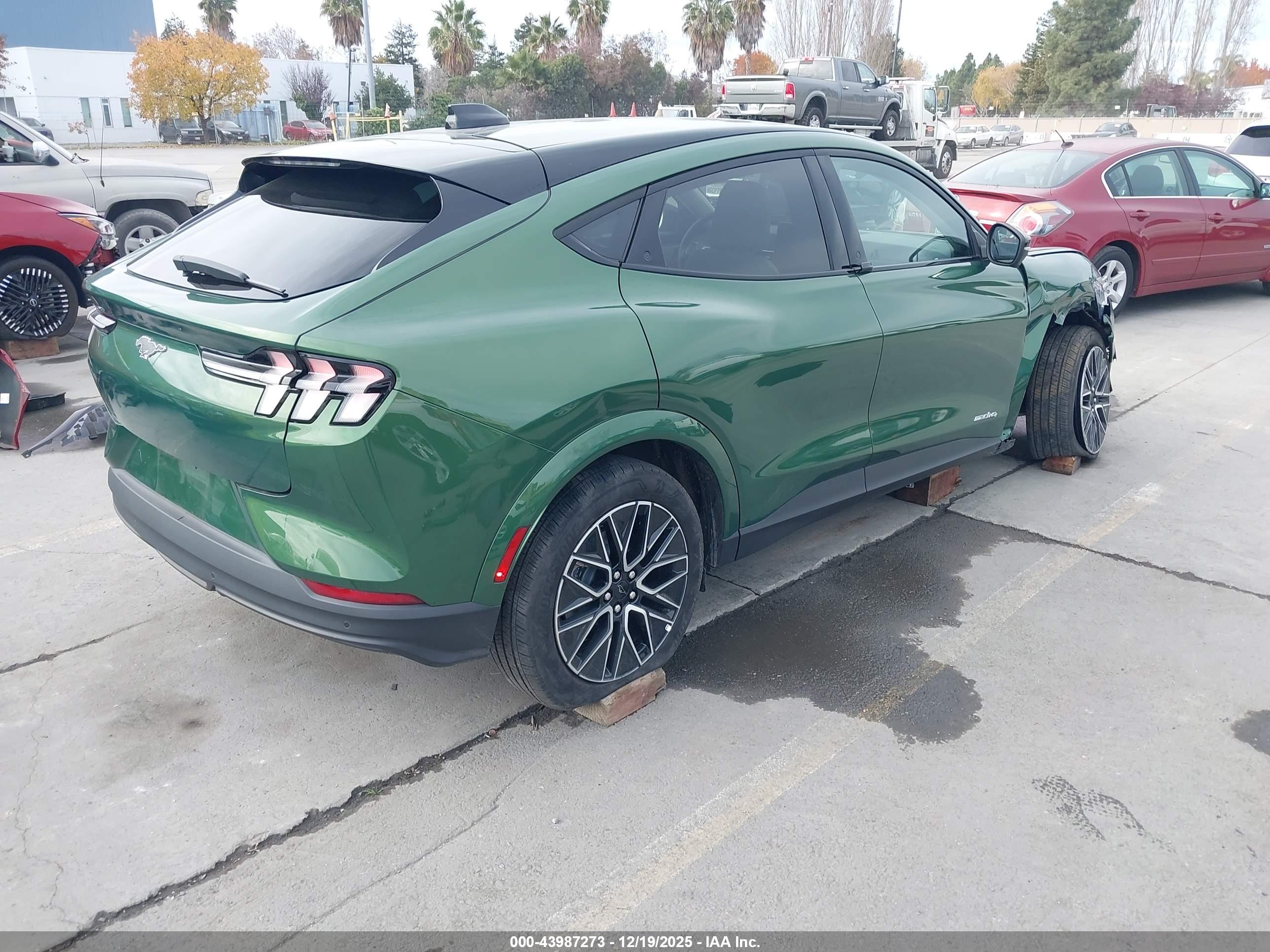 FORD MUSTANG image 4