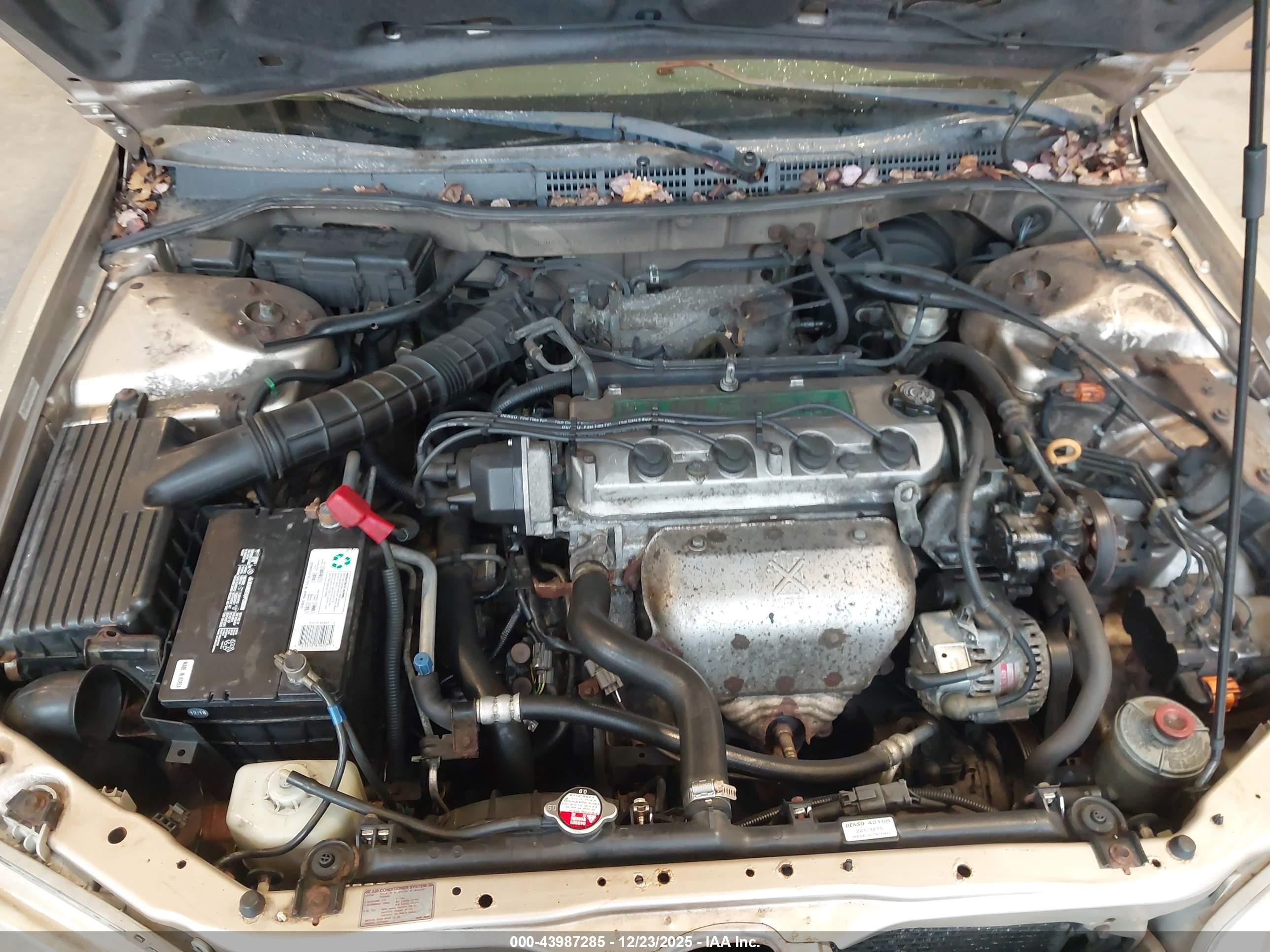 HONDA ACCORD image 10