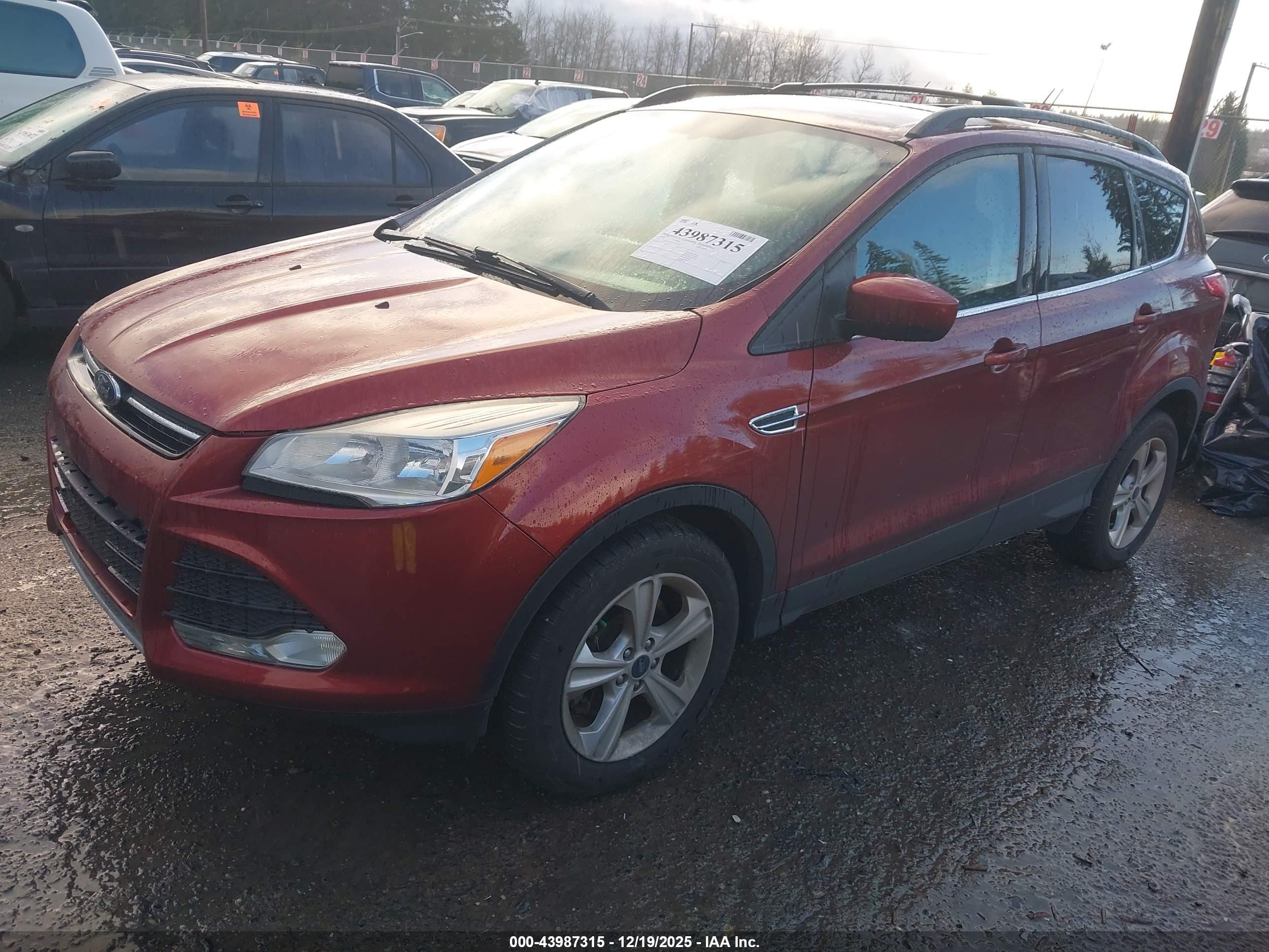 FORD ESCAPE image 2