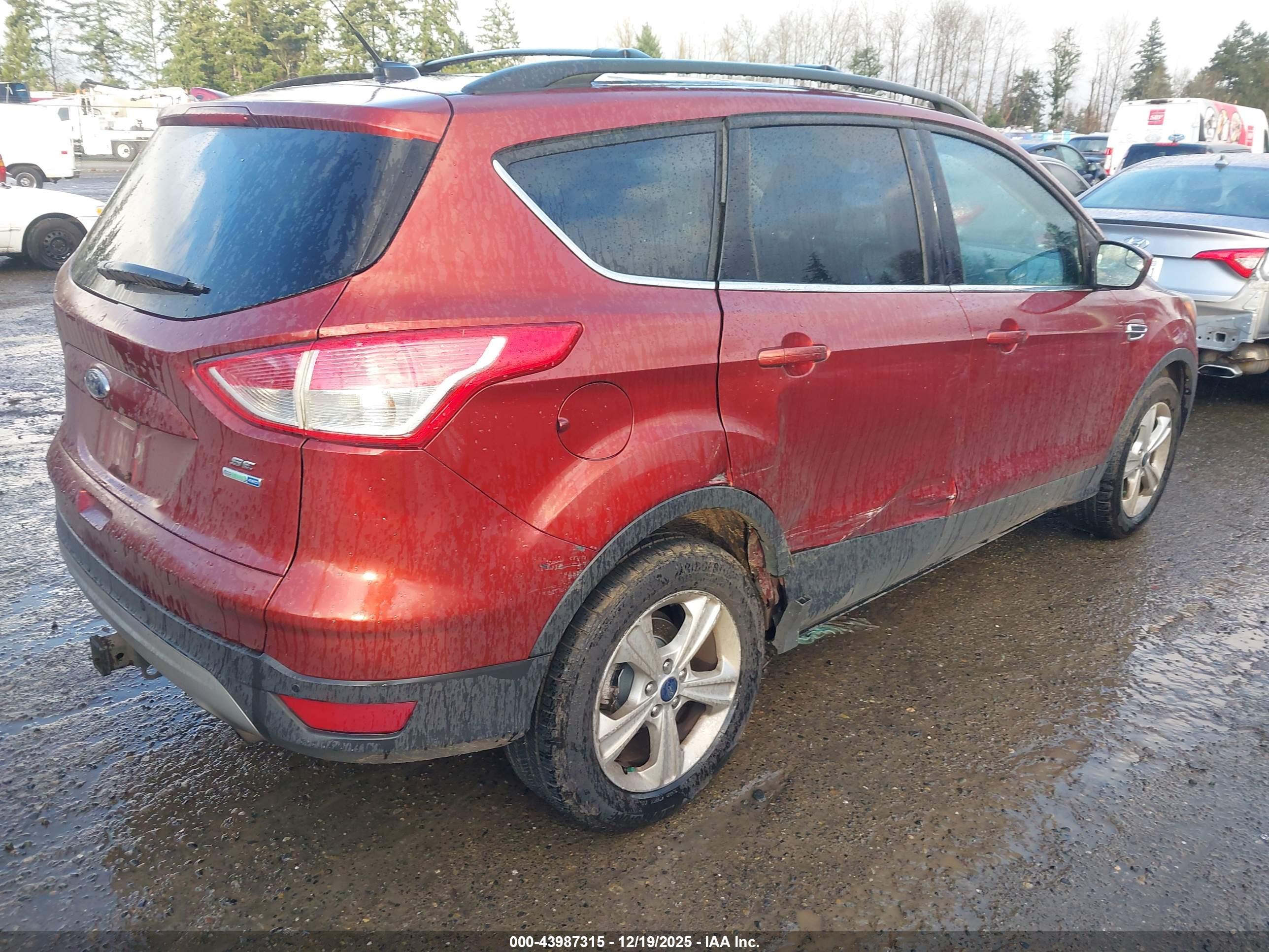 FORD ESCAPE image 4