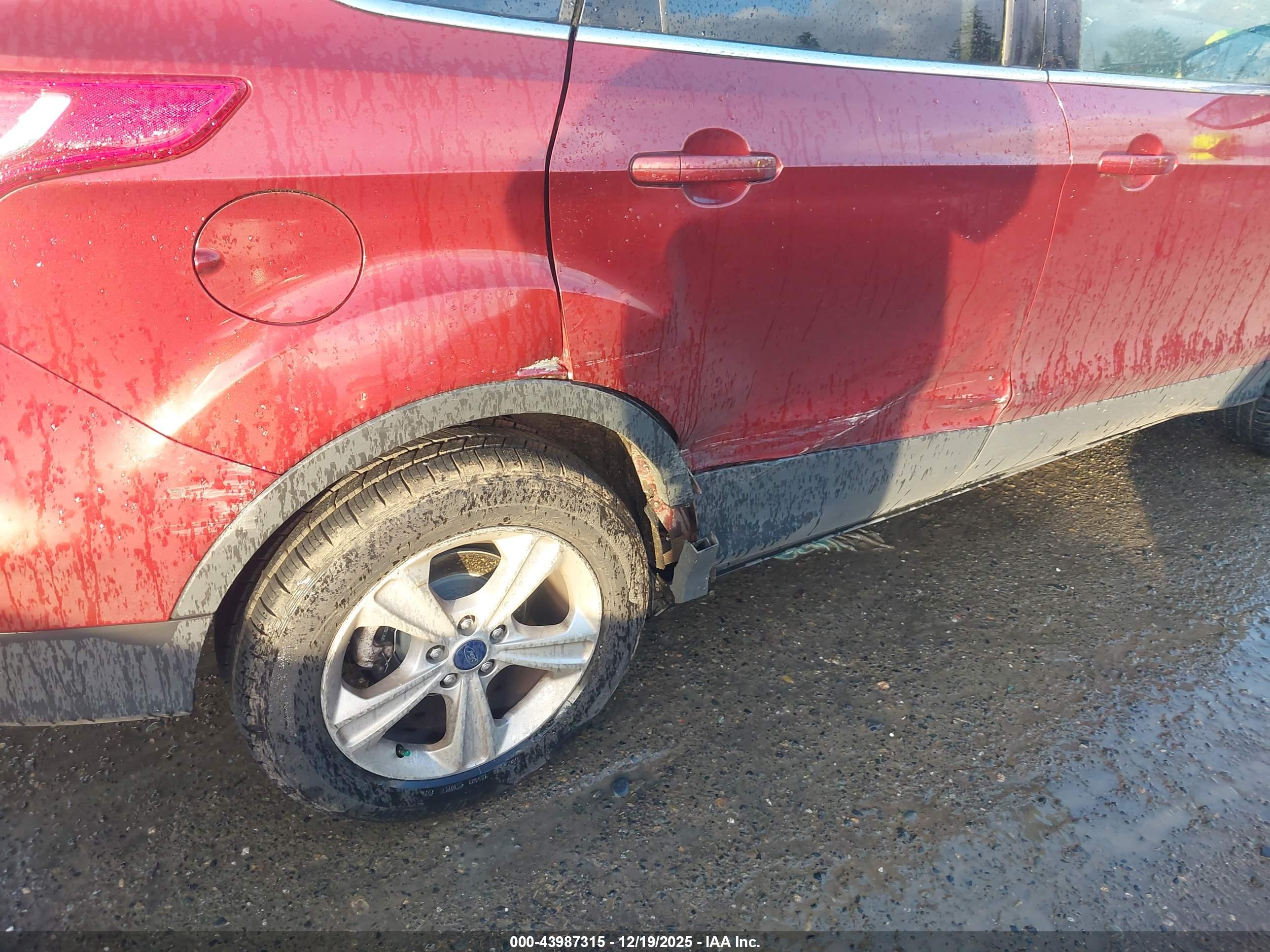 FORD ESCAPE image 6