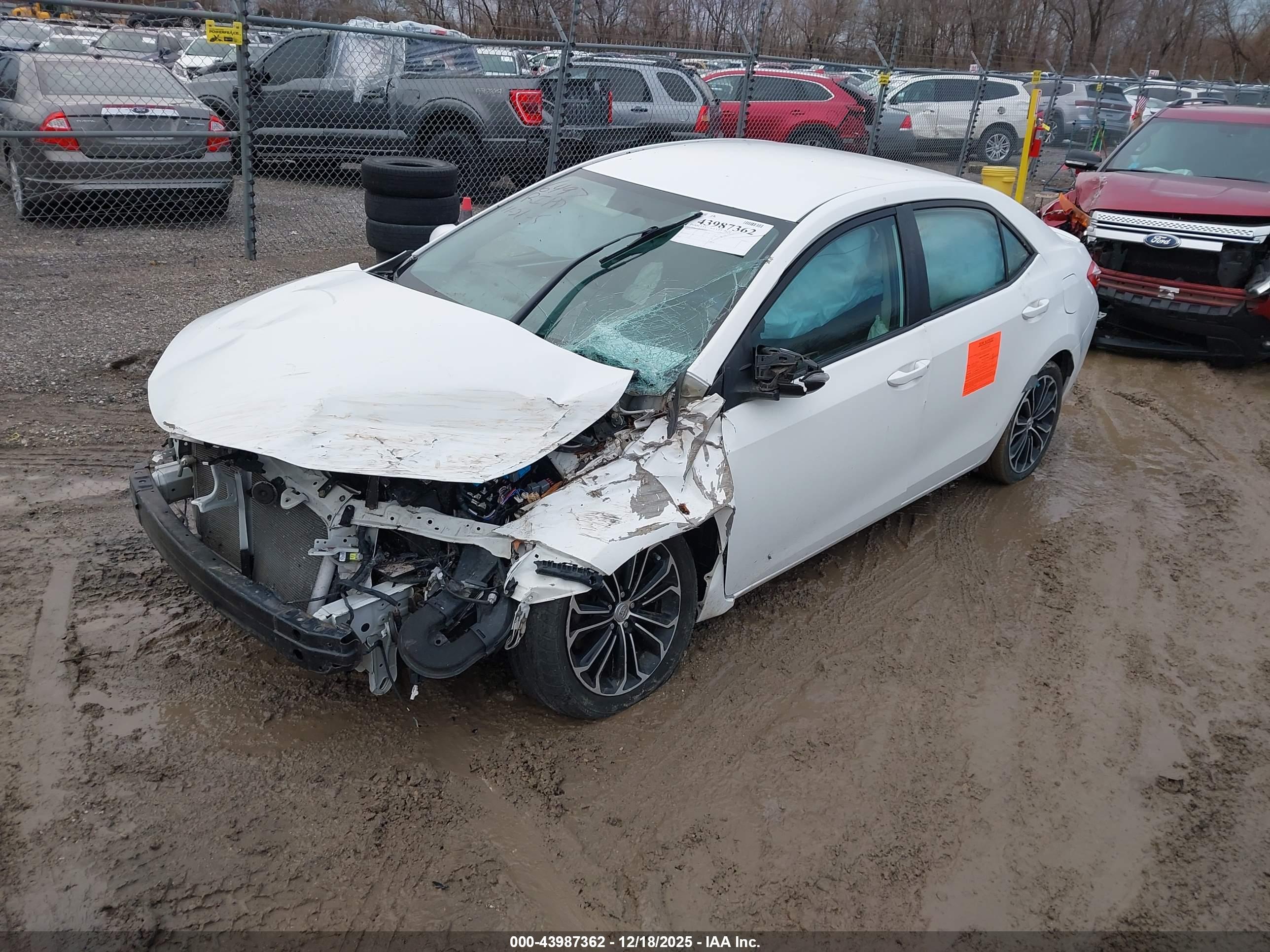 TOYOTA COROLLA image 2