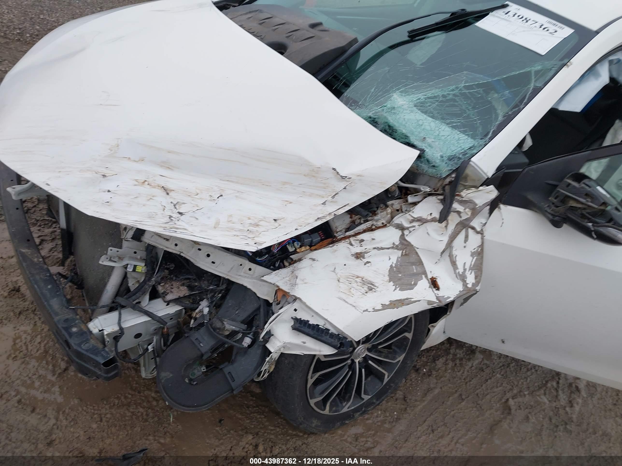 TOYOTA COROLLA image 6