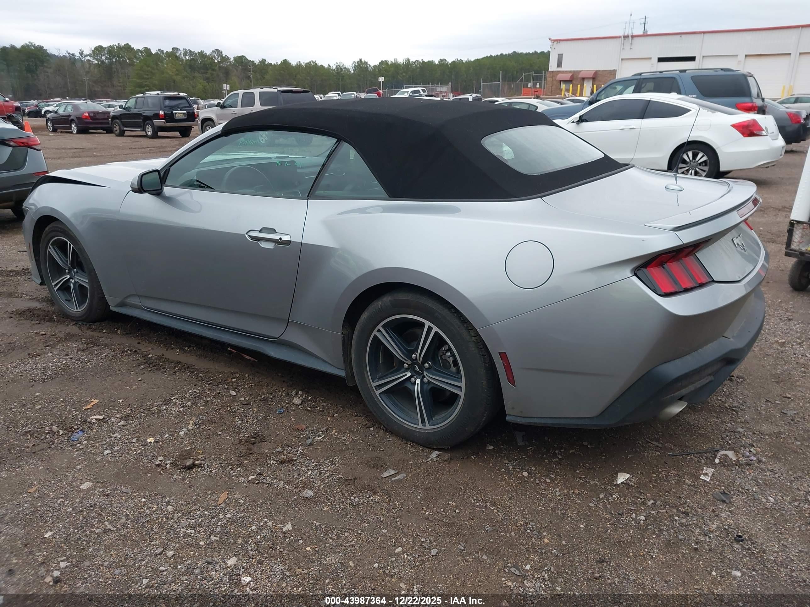 FORD MUSTANG image 3