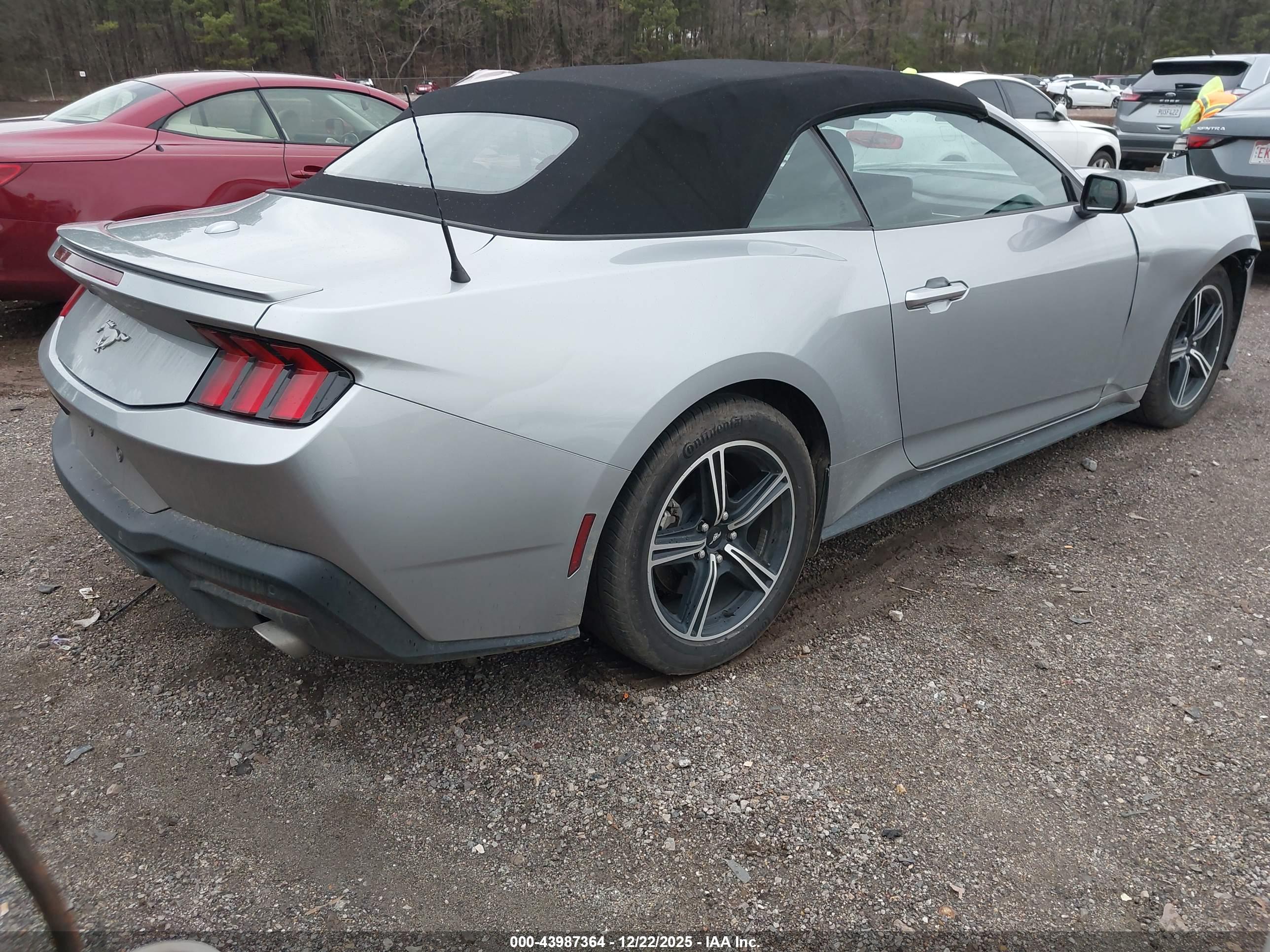 FORD MUSTANG image 4