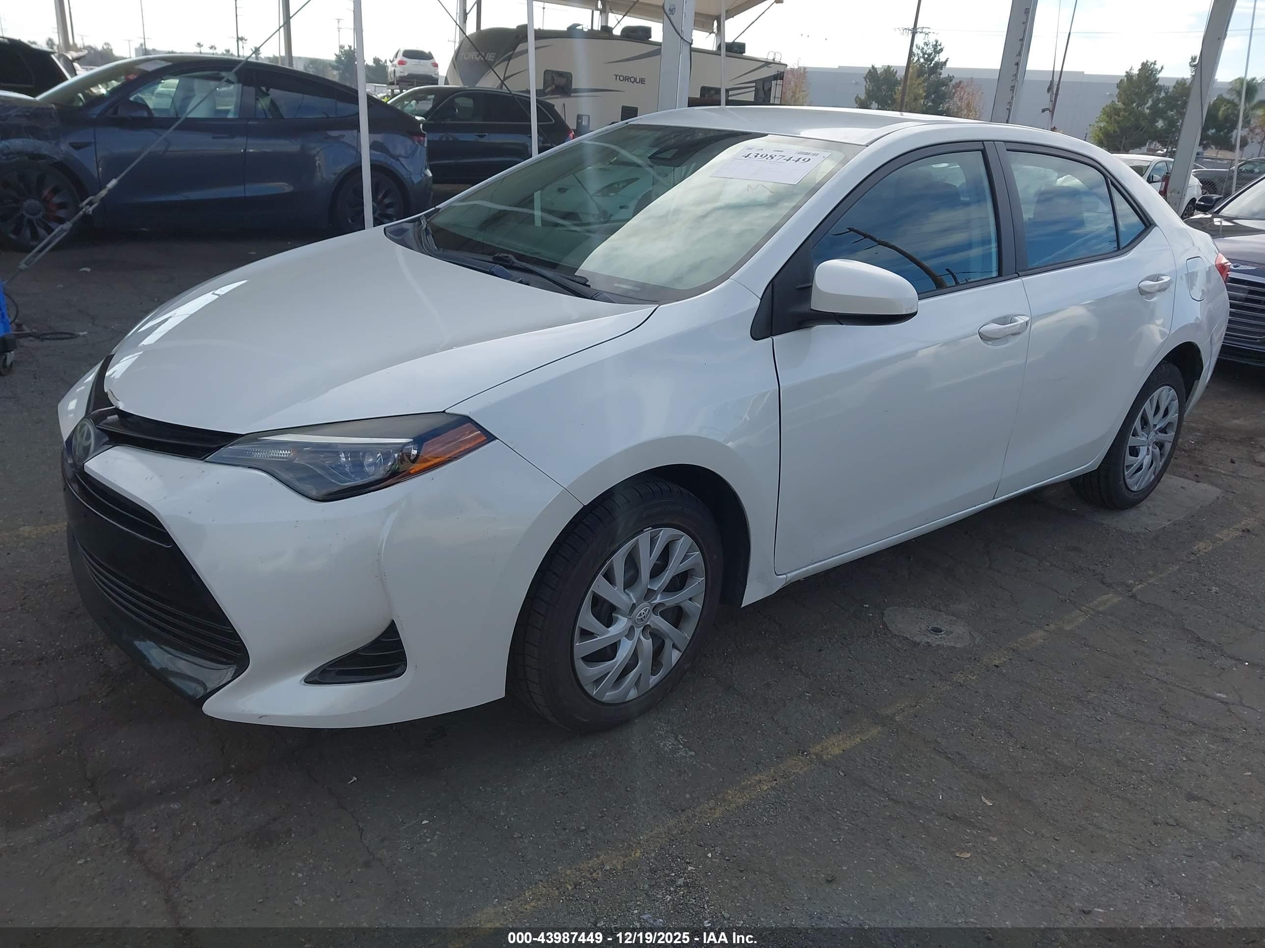 TOYOTA COROLLA image 2