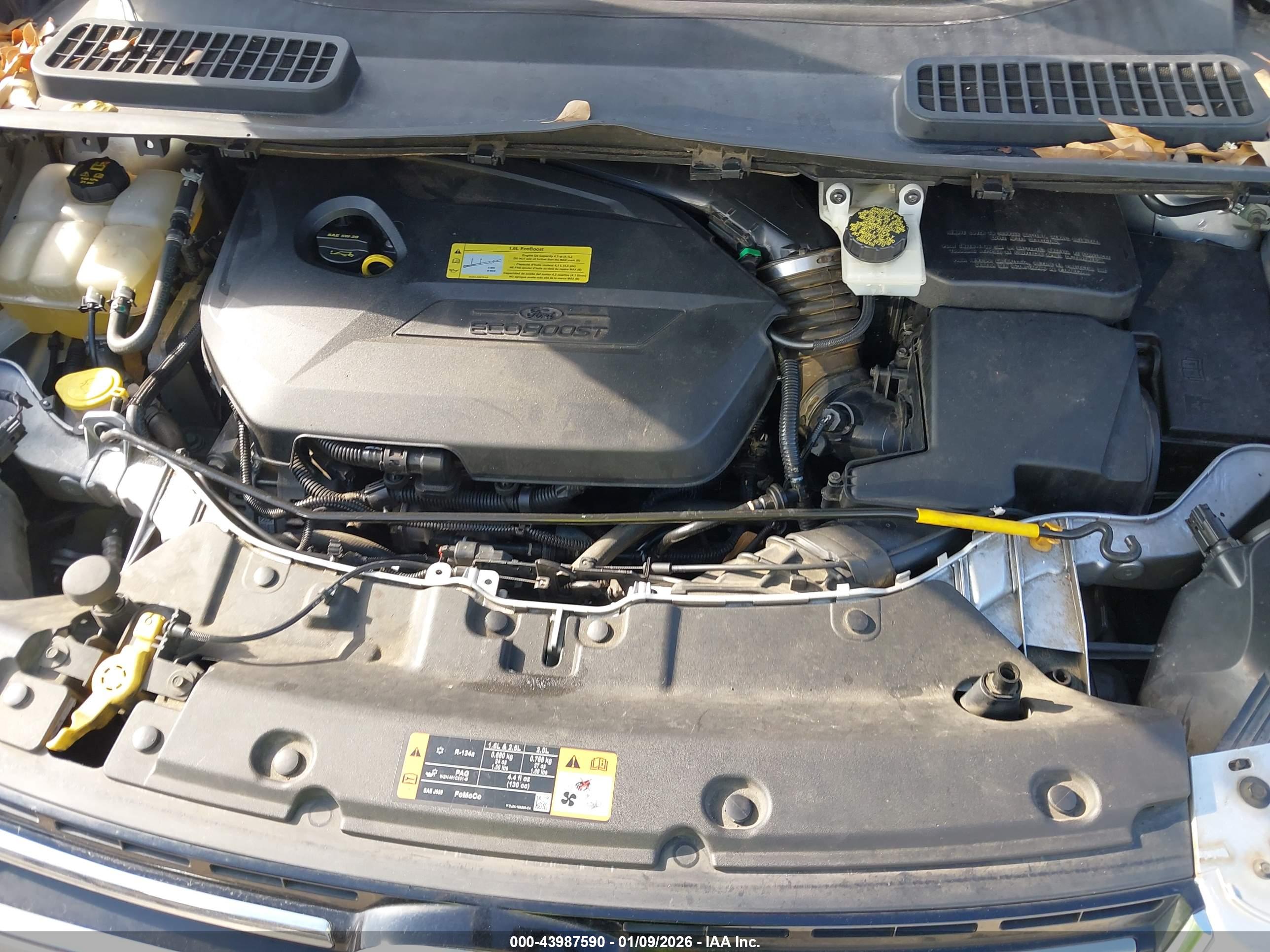 FORD ESCAPE image 10