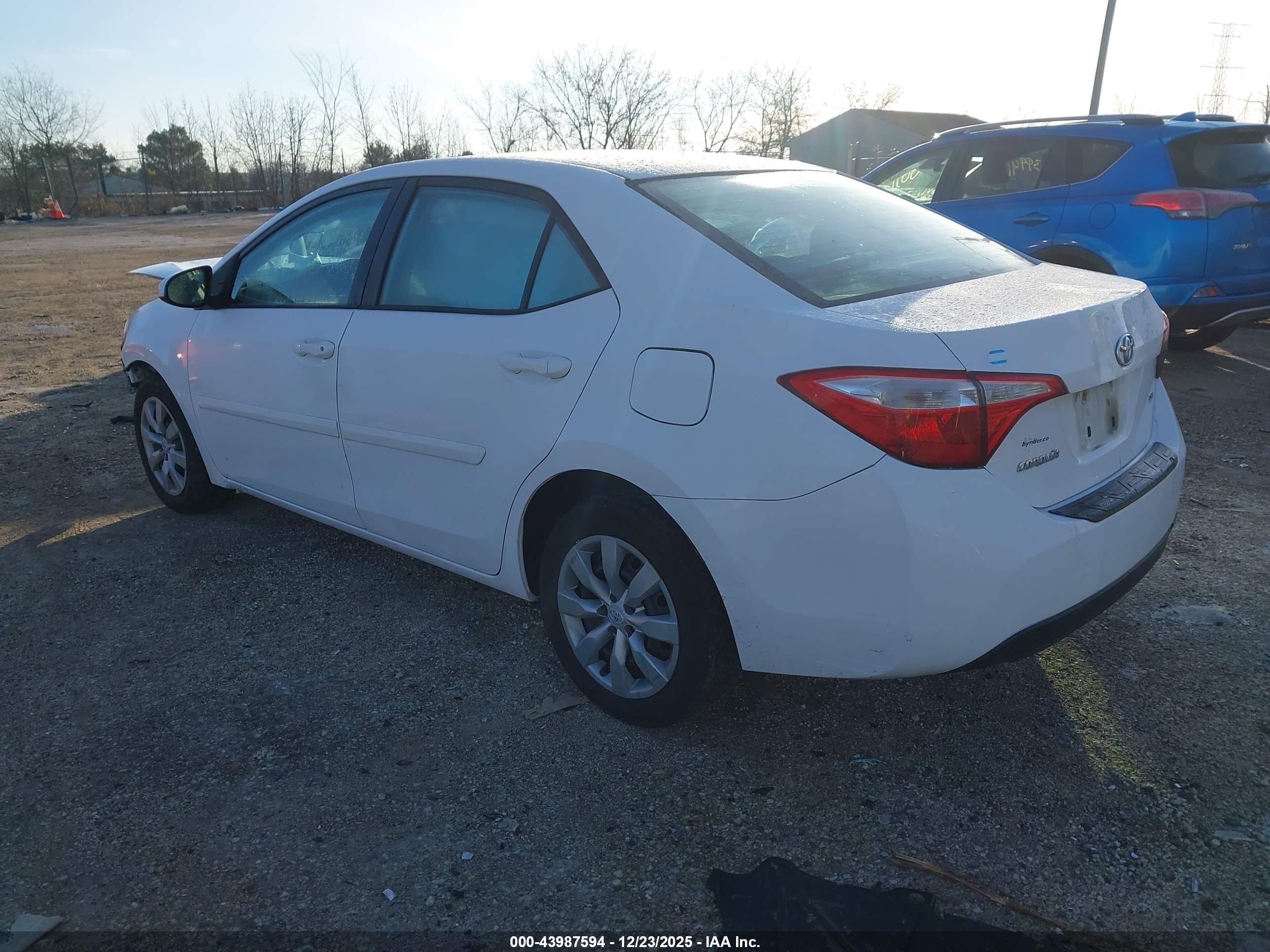 TOYOTA COROLLA image 3