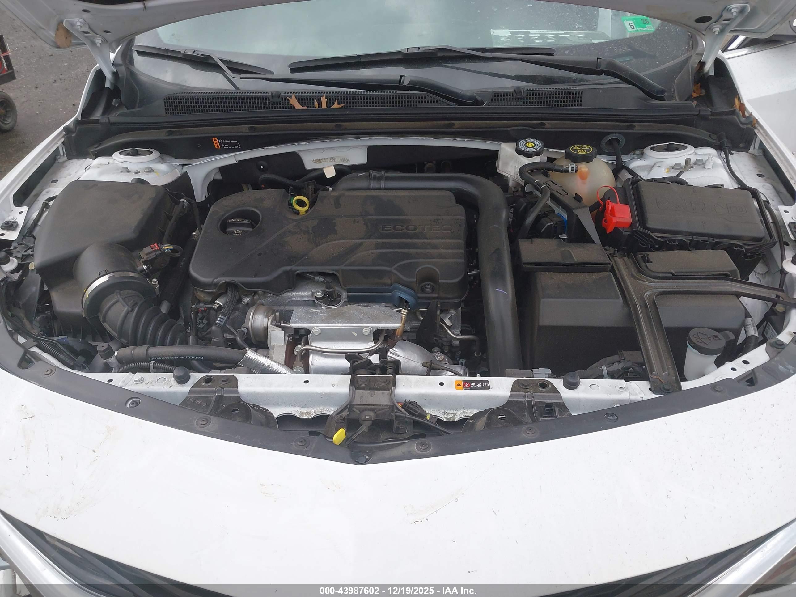 CHEVROLET MALIBU image 10