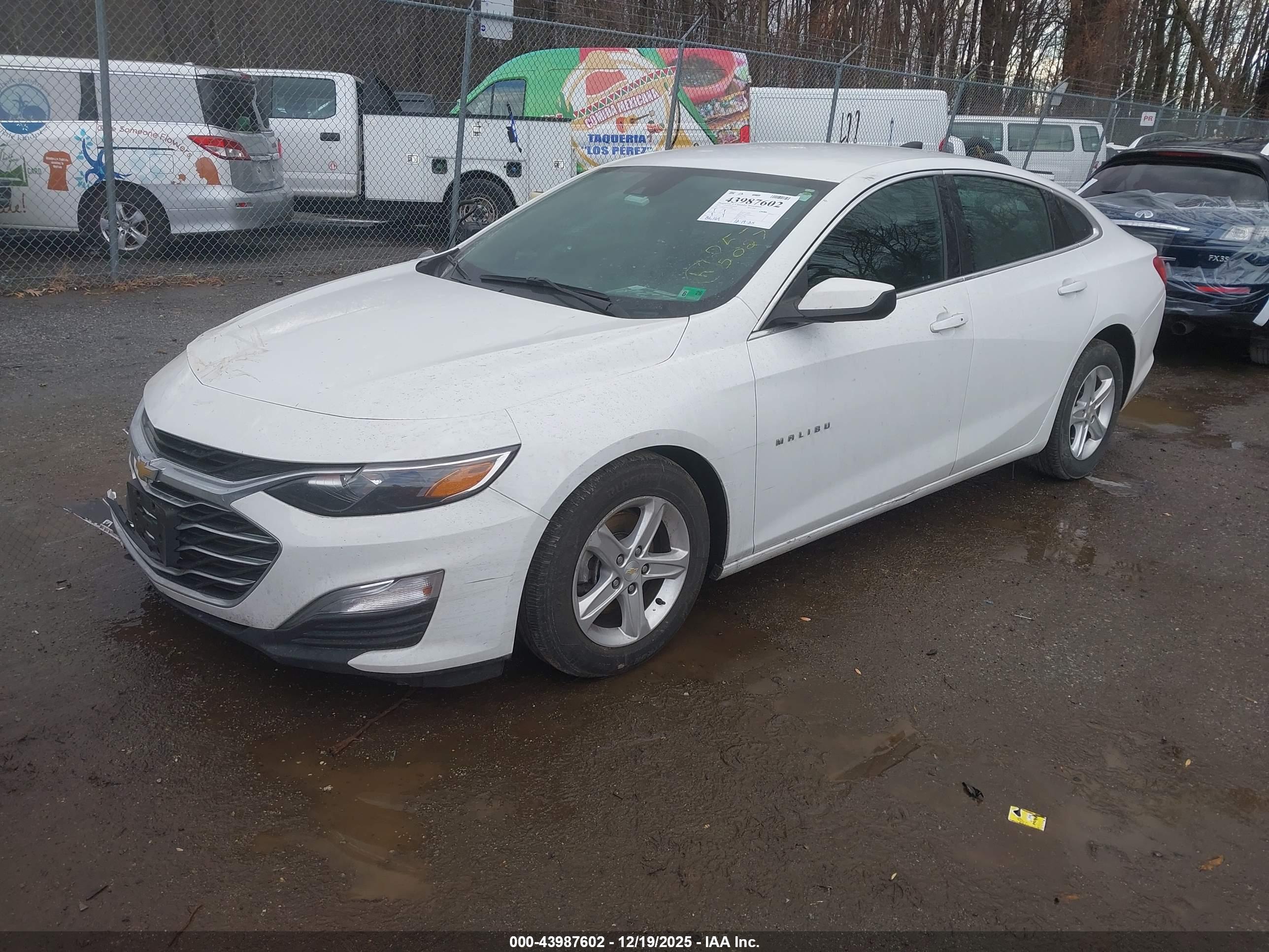CHEVROLET MALIBU image 2