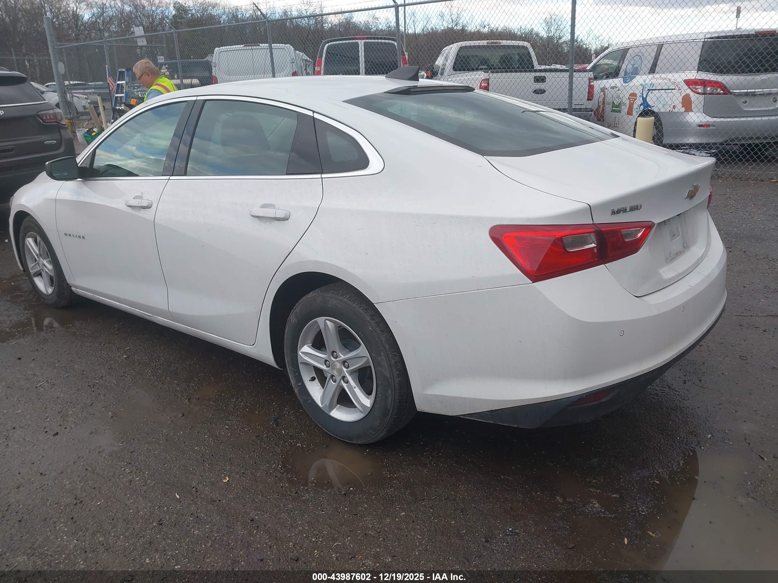 CHEVROLET MALIBU image 3