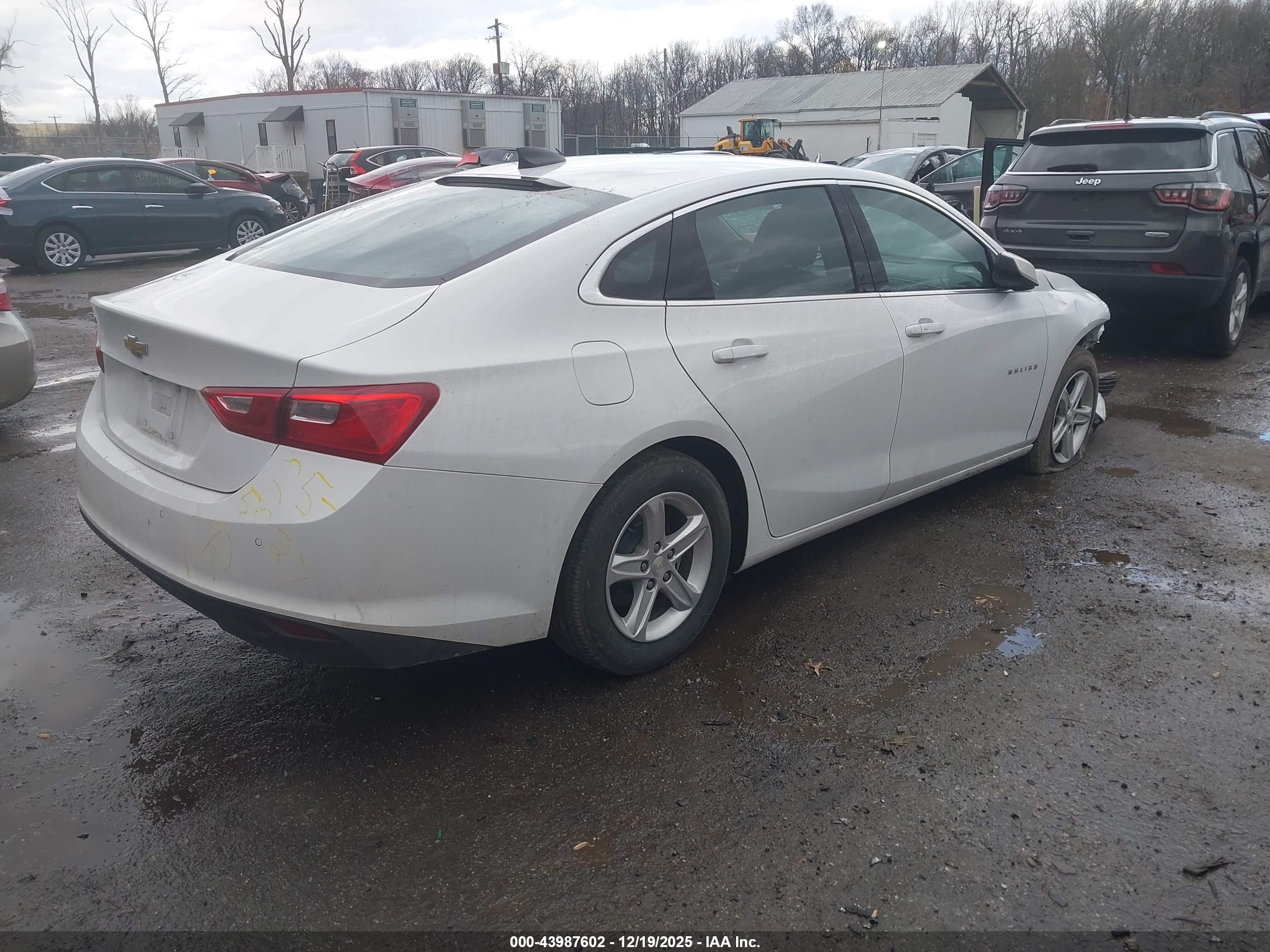 CHEVROLET MALIBU image 4
