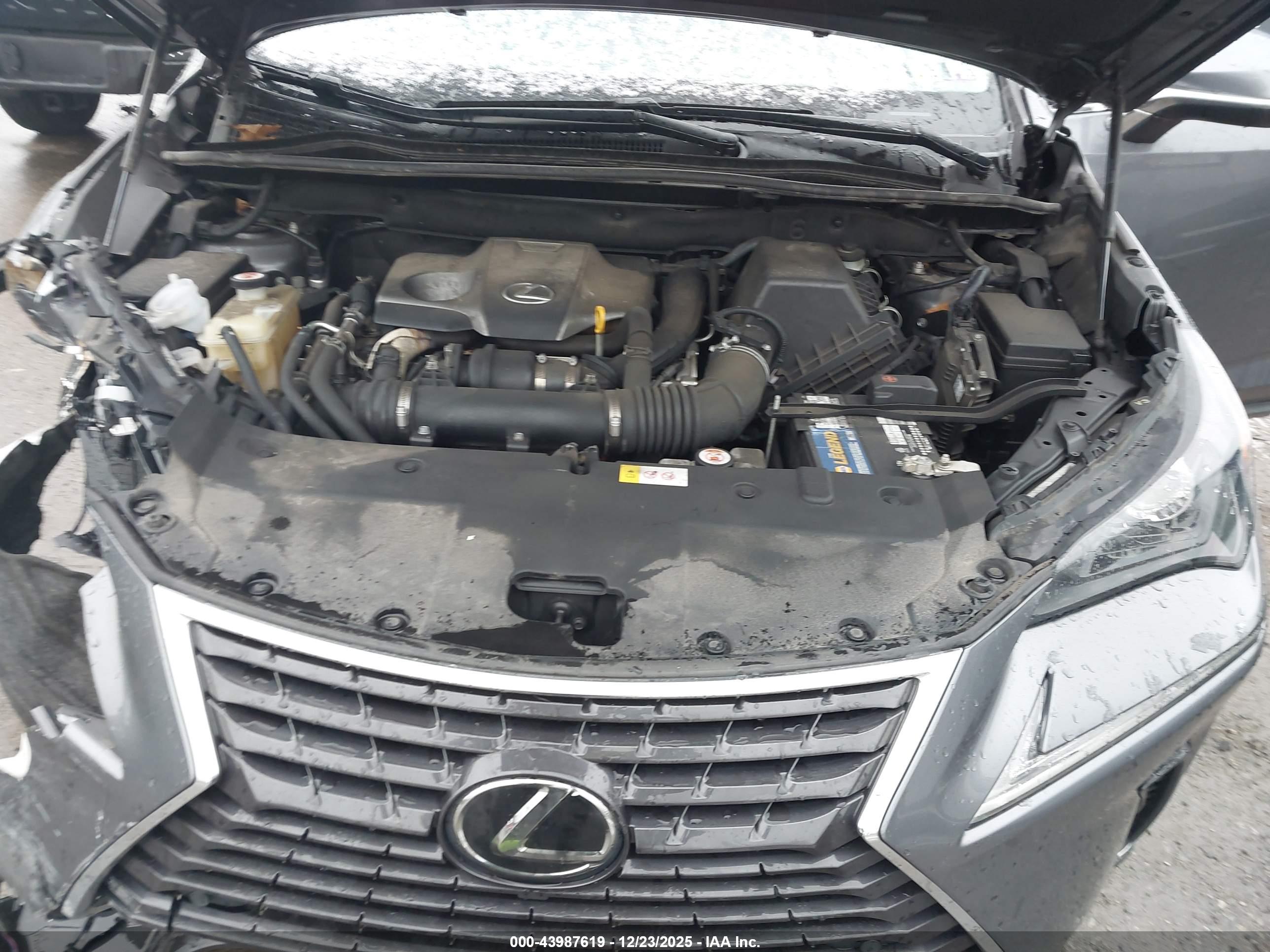 LEXUS NX image 10