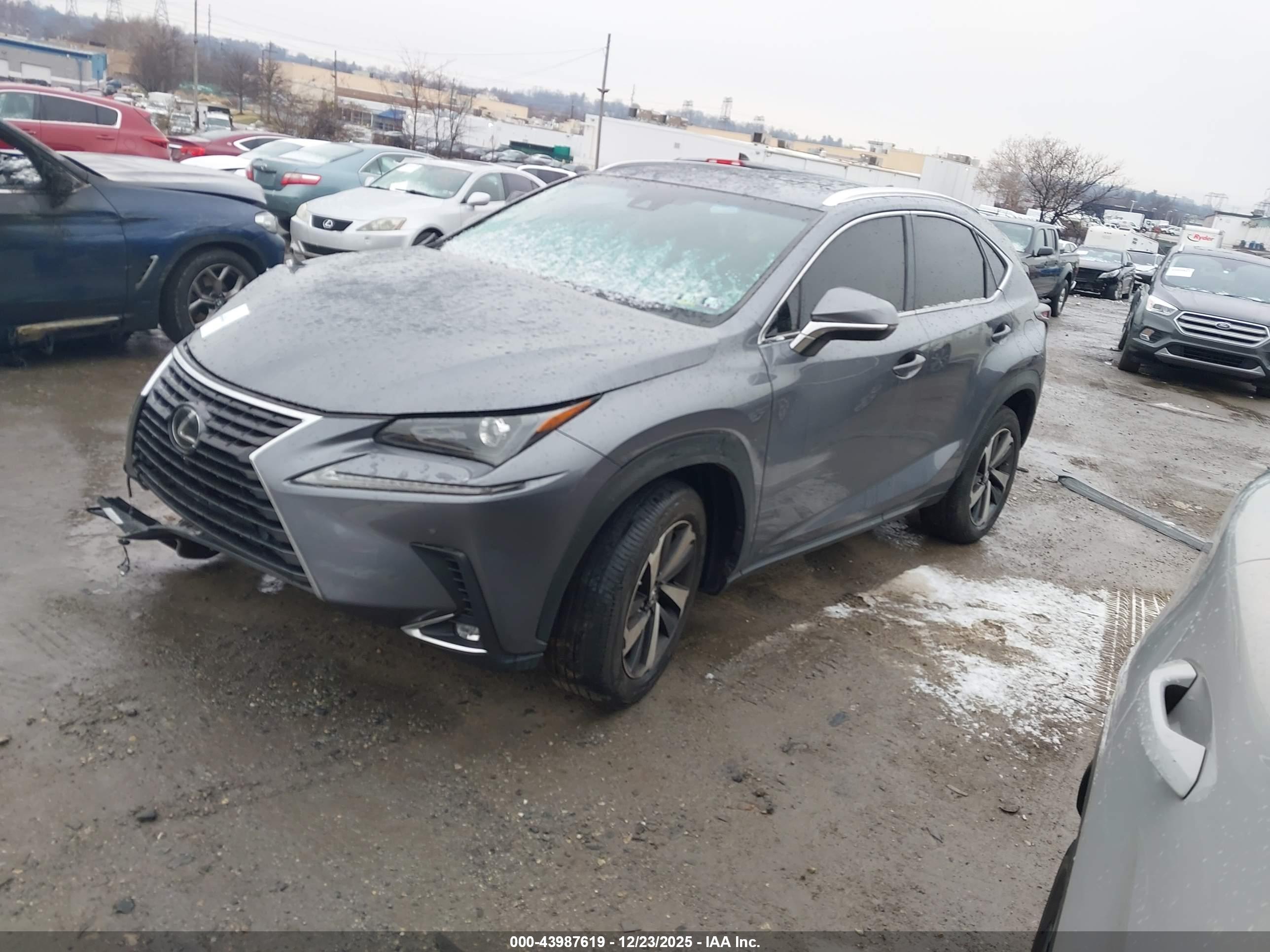 LEXUS NX image 2