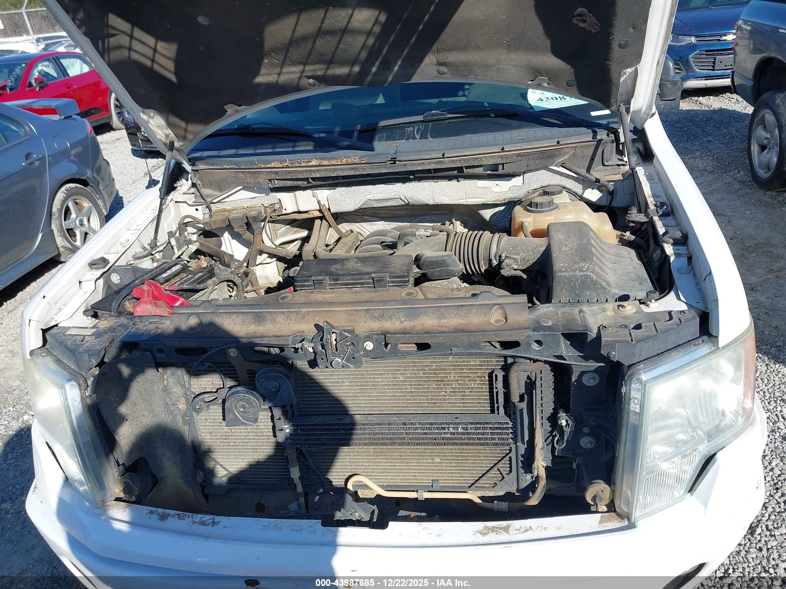 FORD F-150 image 10