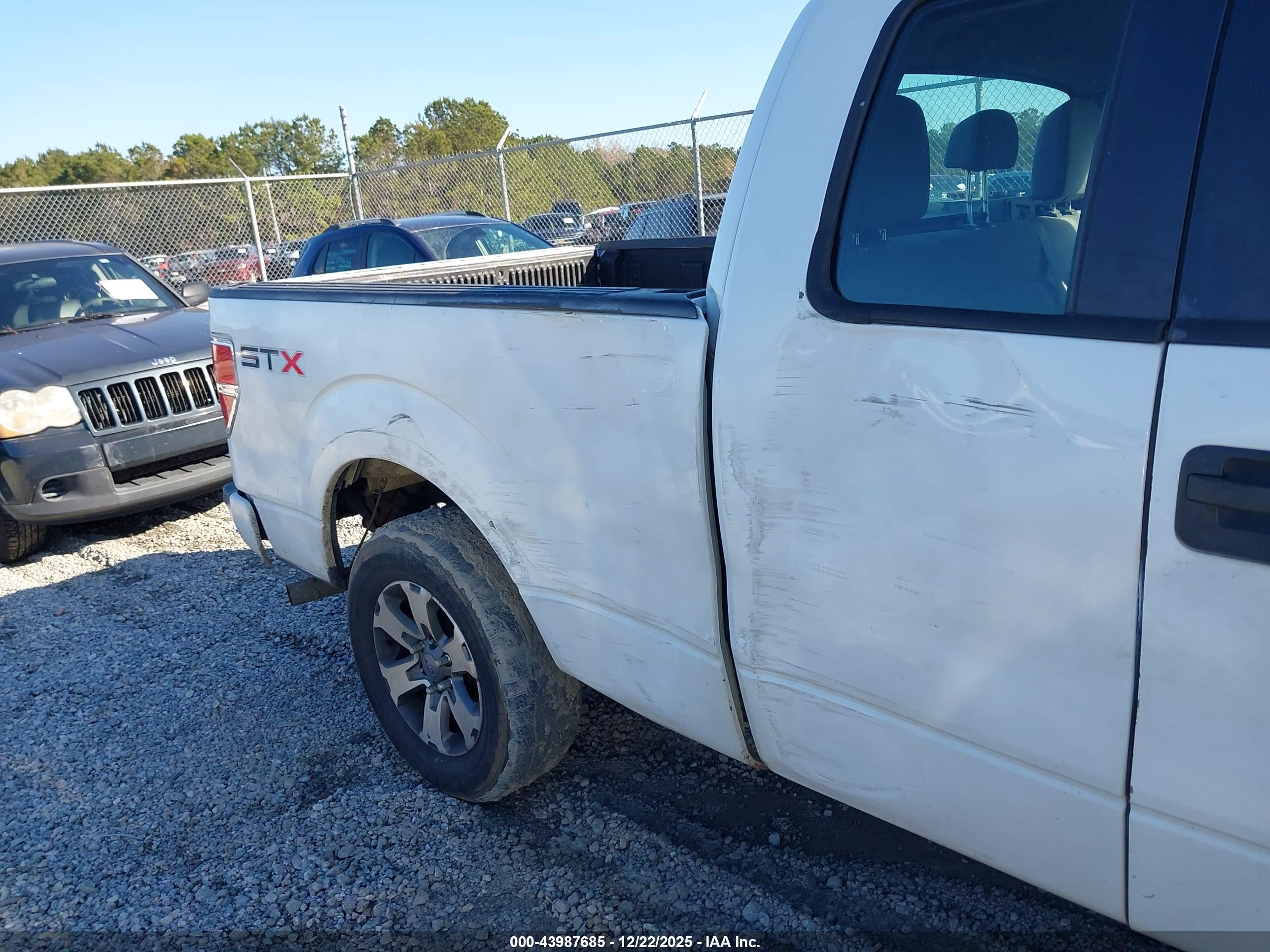 FORD F-150 image 6