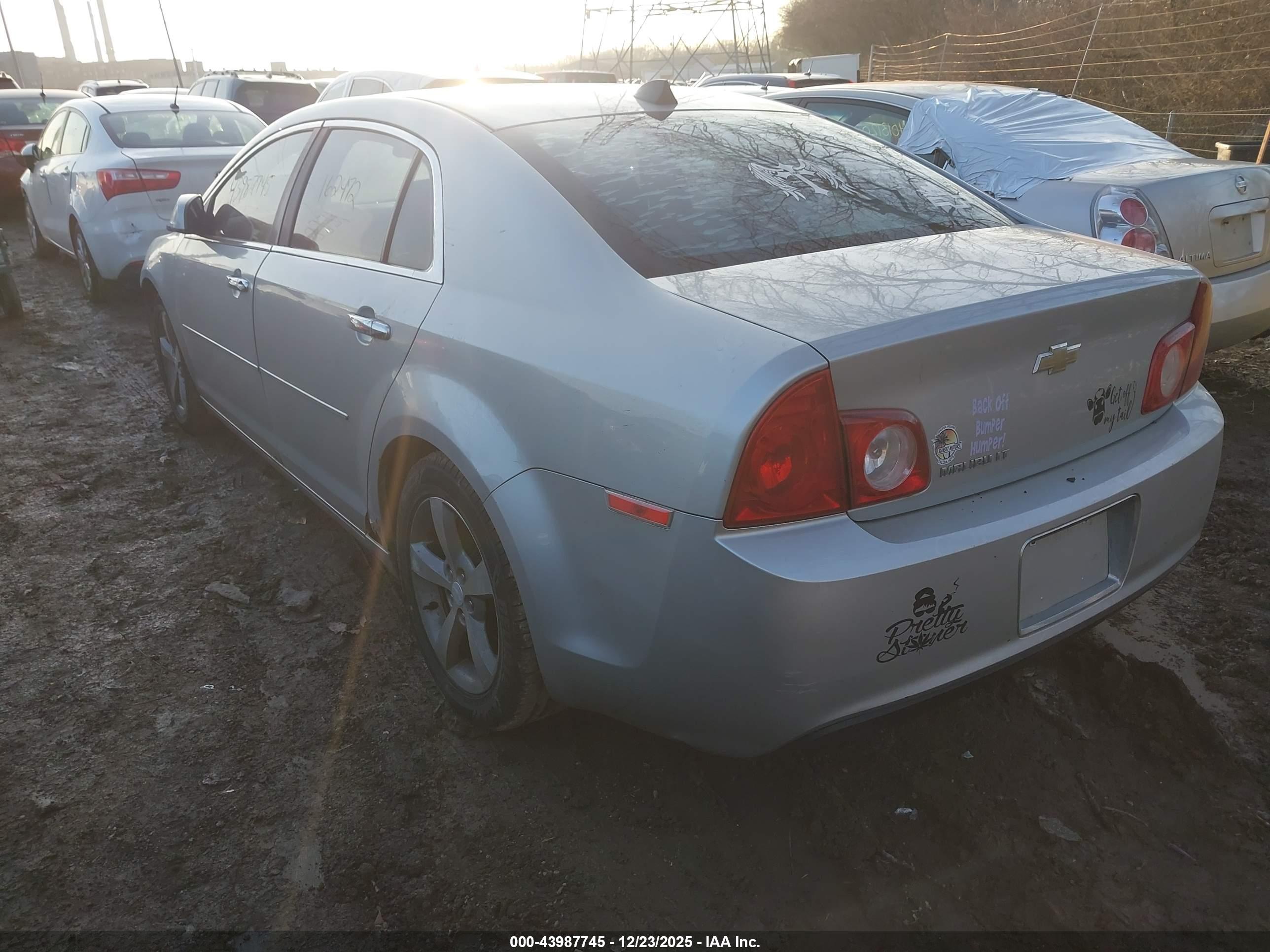 CHEVROLET MALIBU image 3