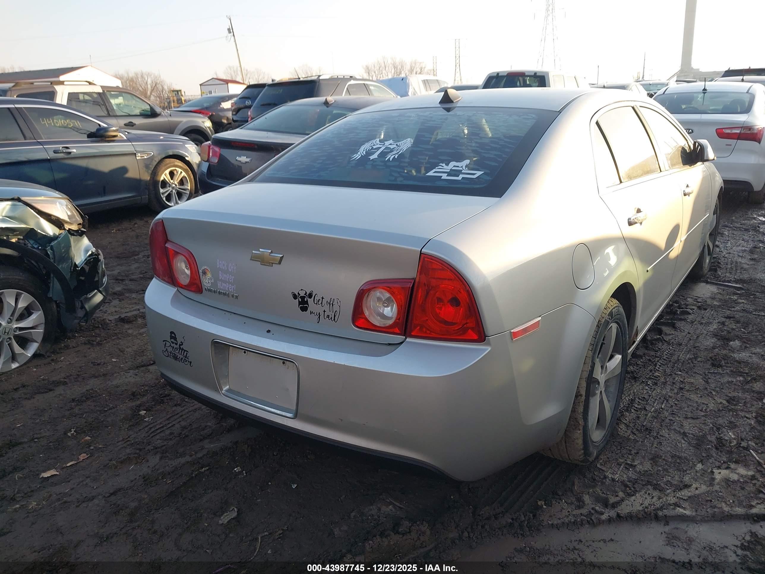 CHEVROLET MALIBU image 4