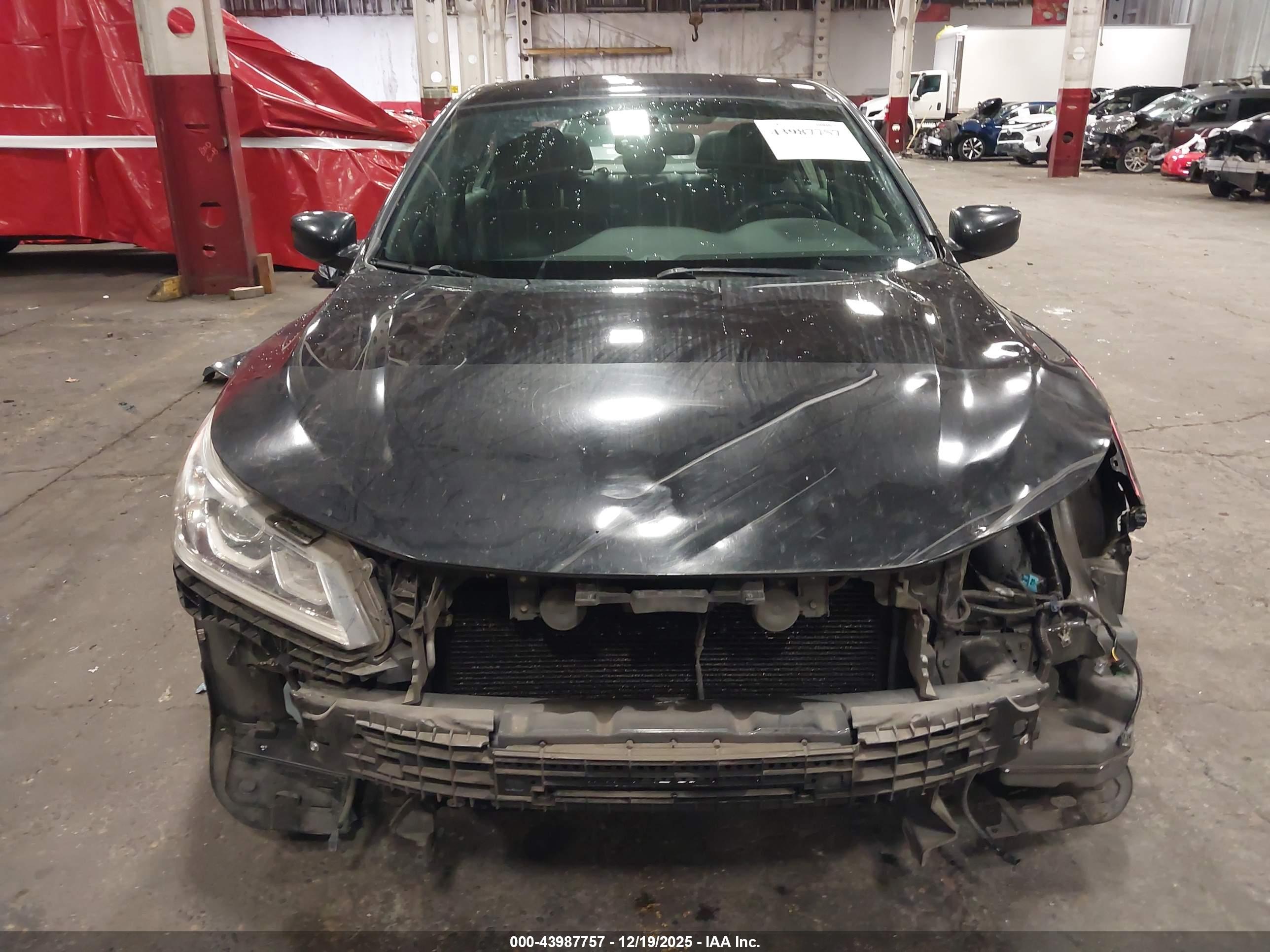 HONDA ACCORD image 6