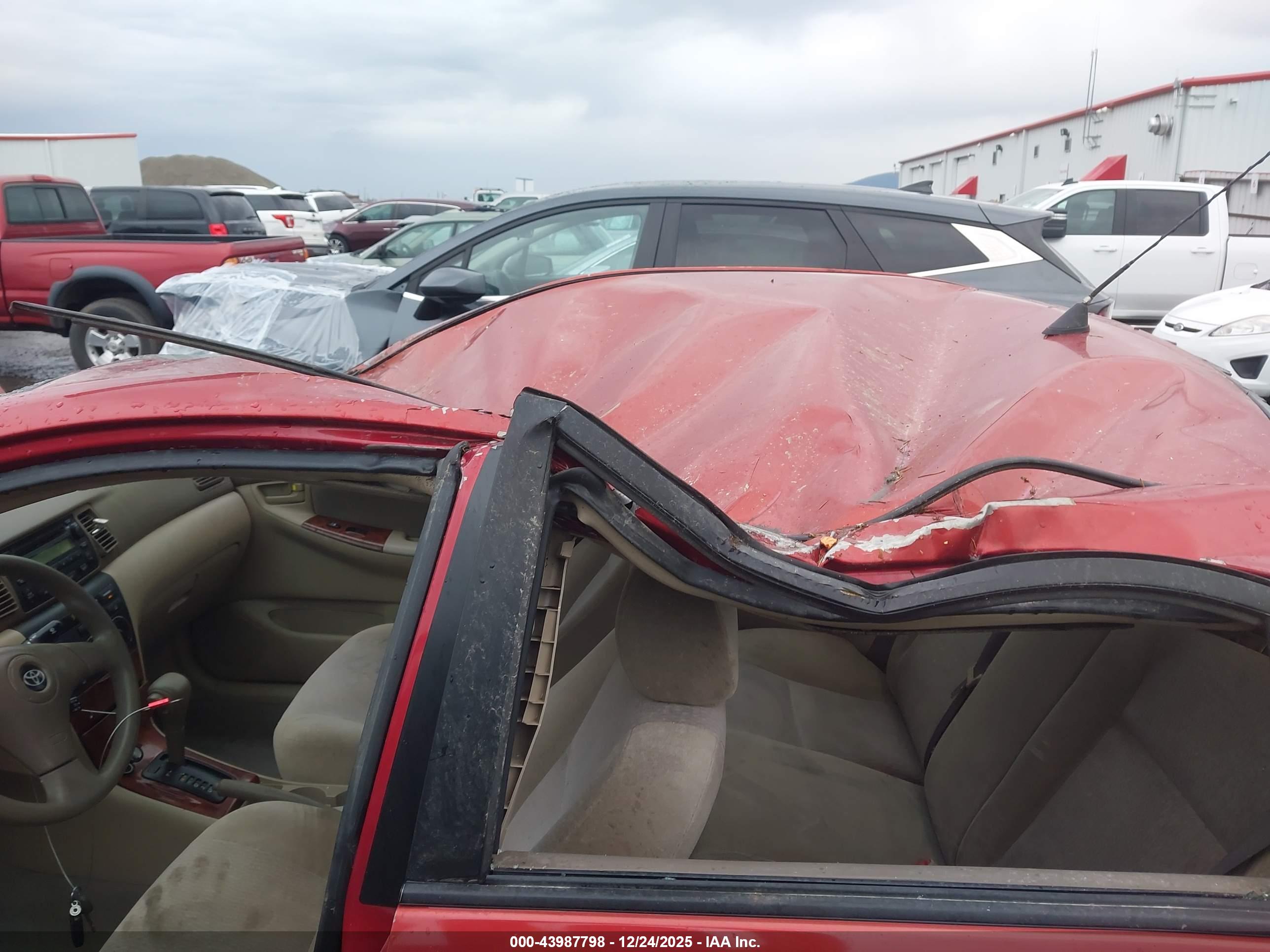TOYOTA COROLLA image 6