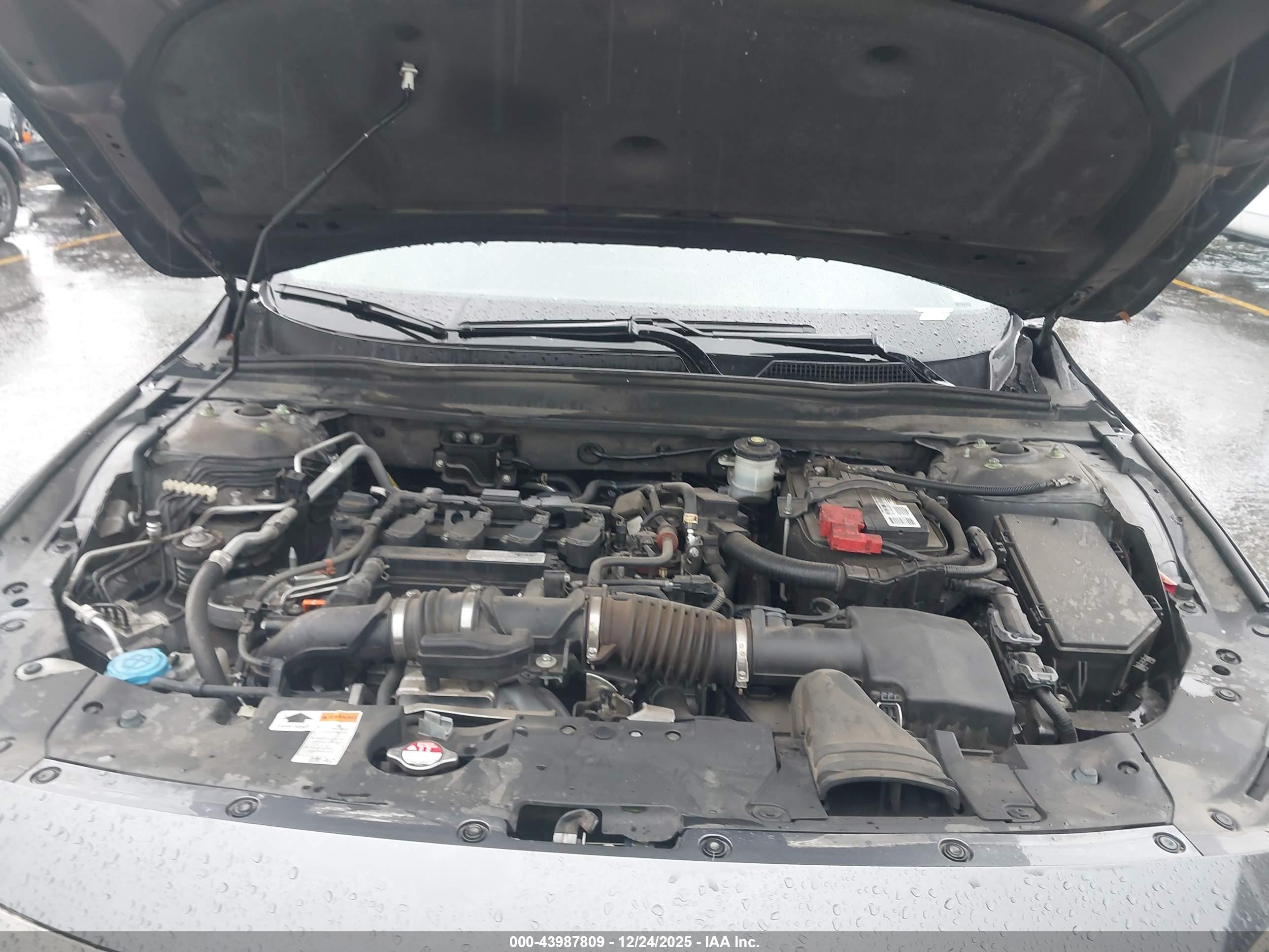 HONDA ACCORD image 10