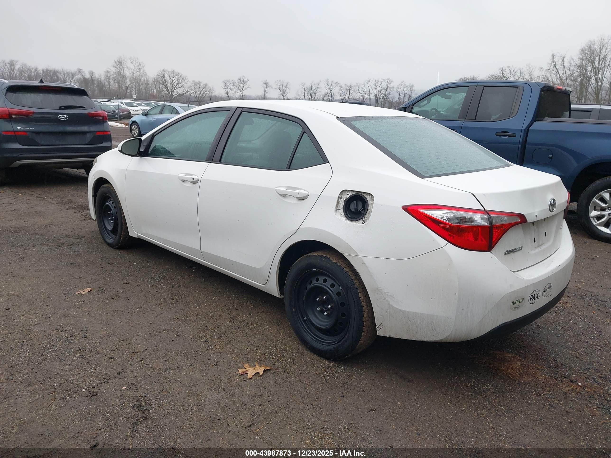 TOYOTA COROLLA image 3