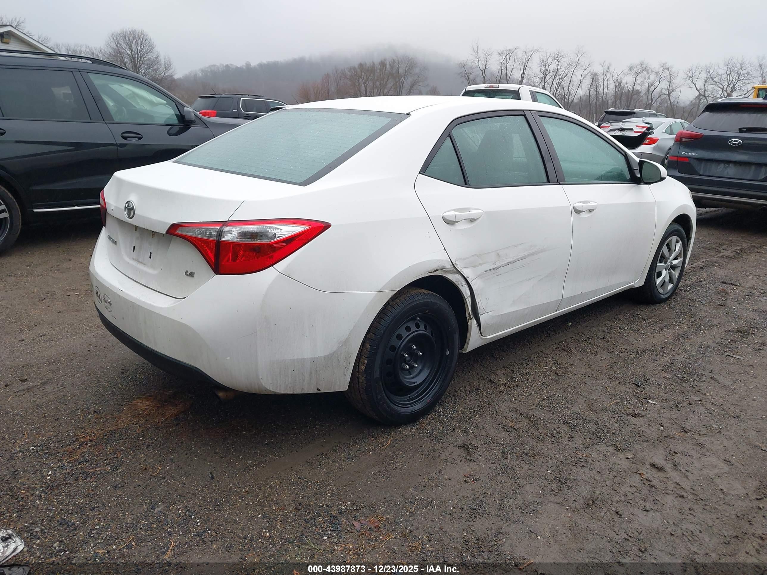 TOYOTA COROLLA image 4