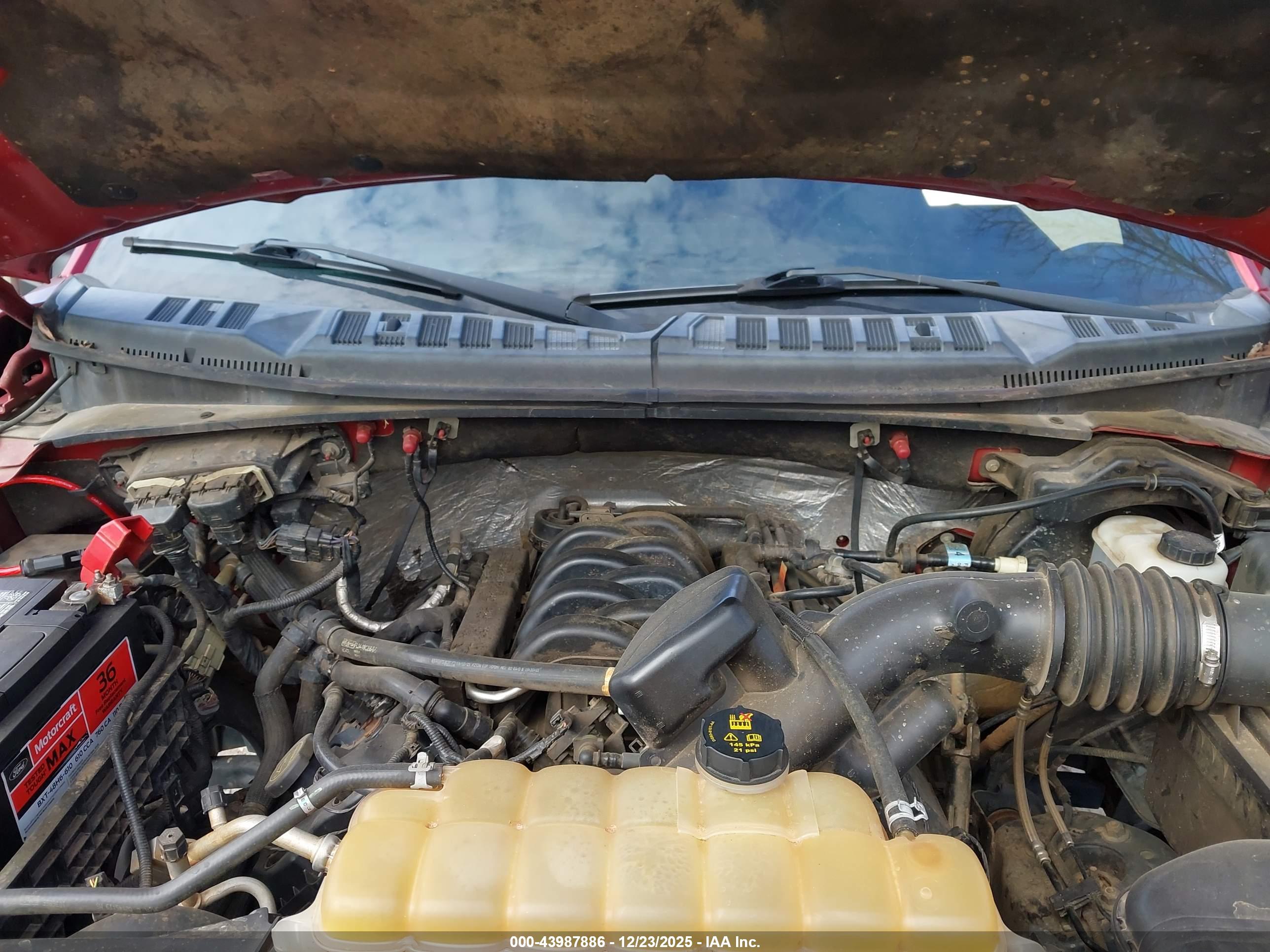 FORD F-150 image 10