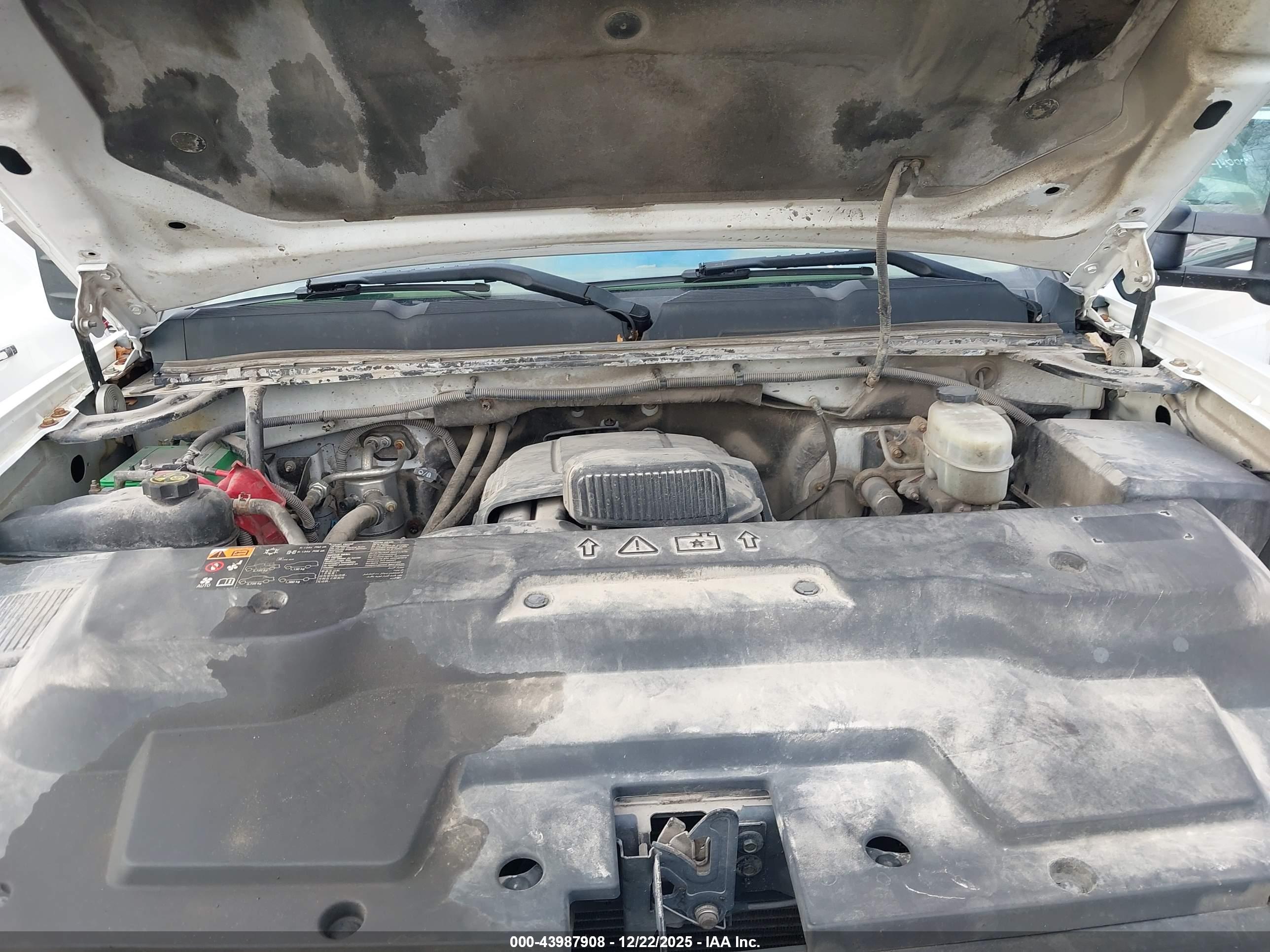 CHEVROLET SILVERADO image 10