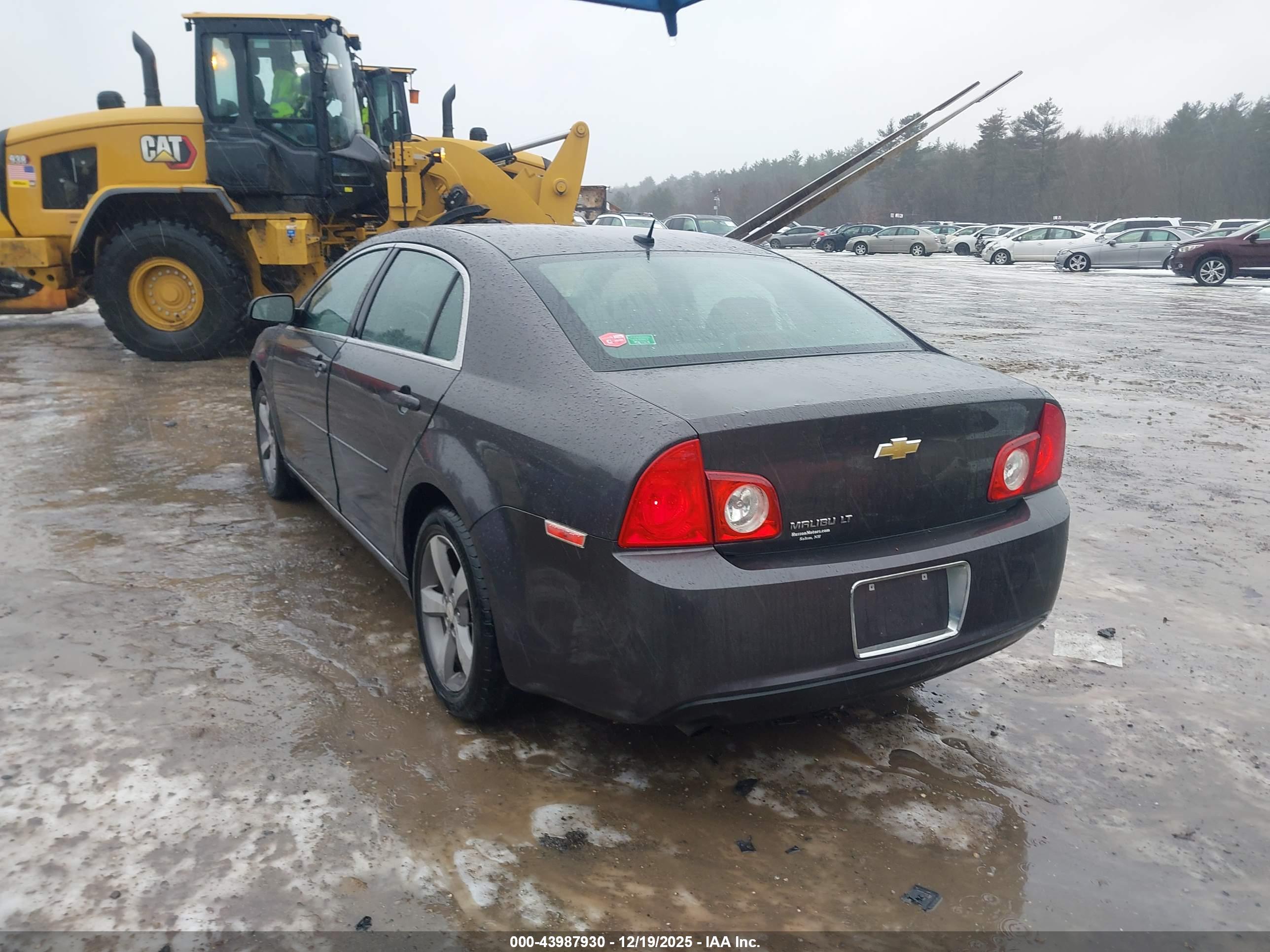 CHEVROLET MALIBU image 3