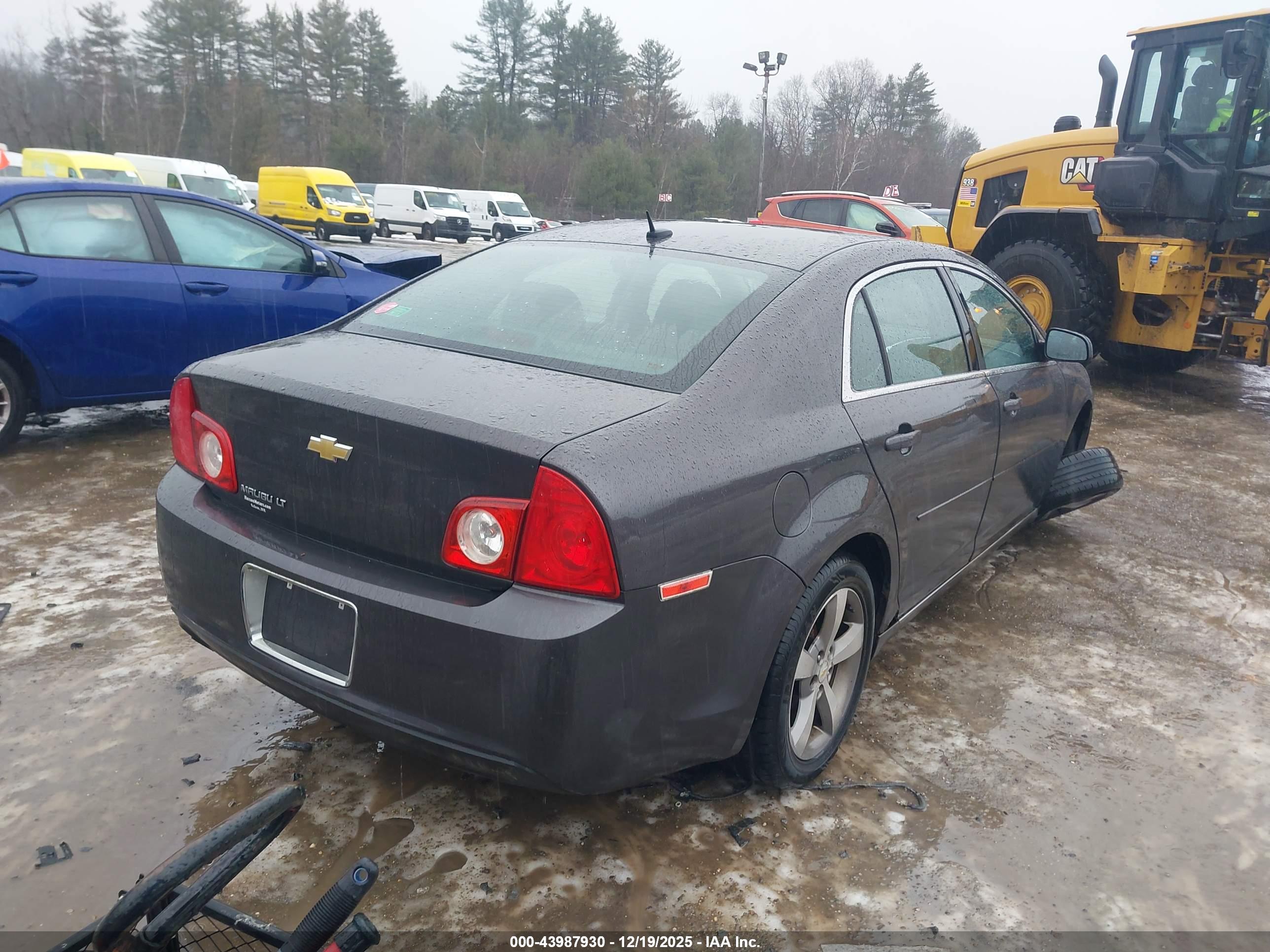 CHEVROLET MALIBU image 4