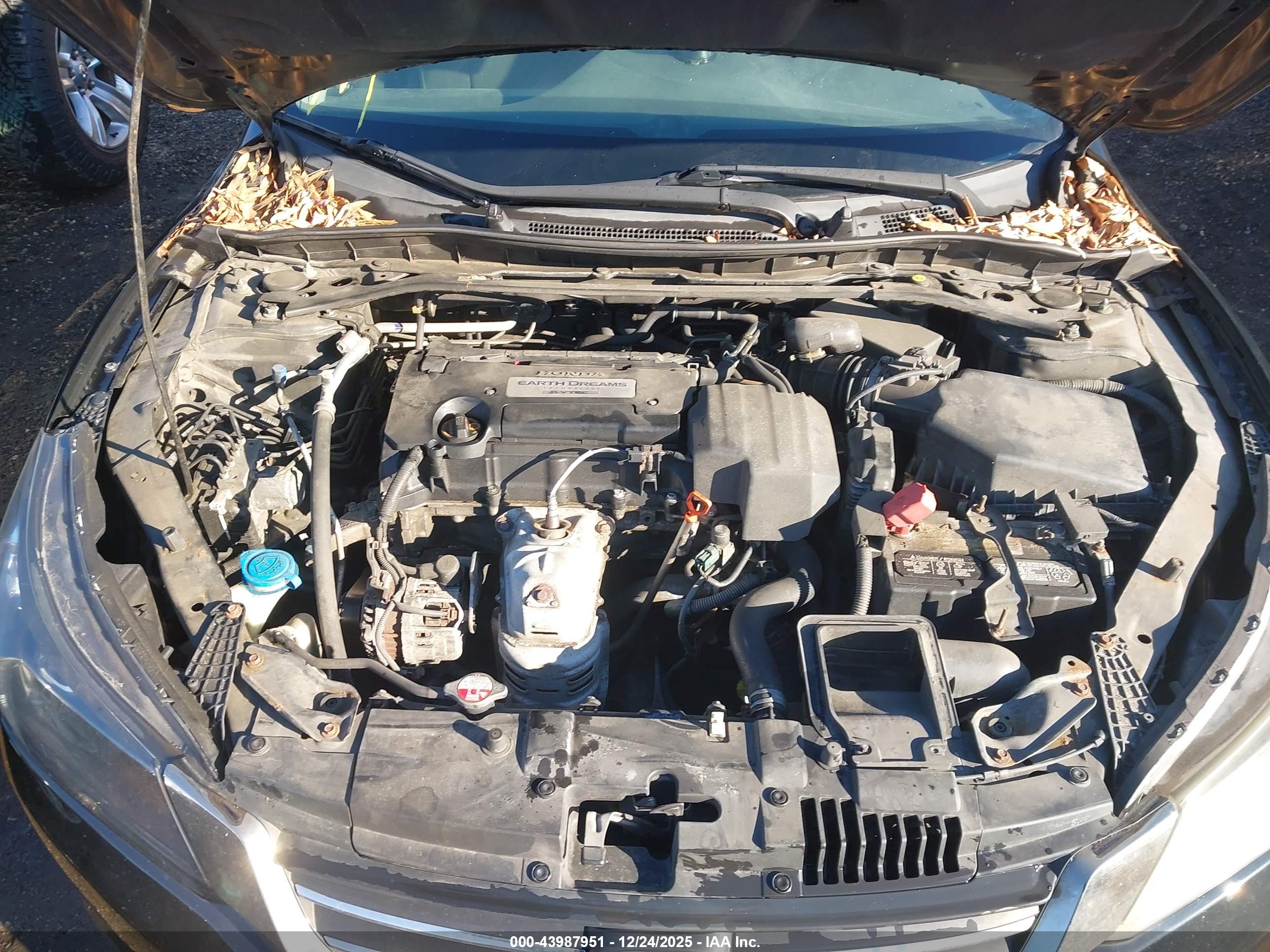 HONDA ACCORD image 10