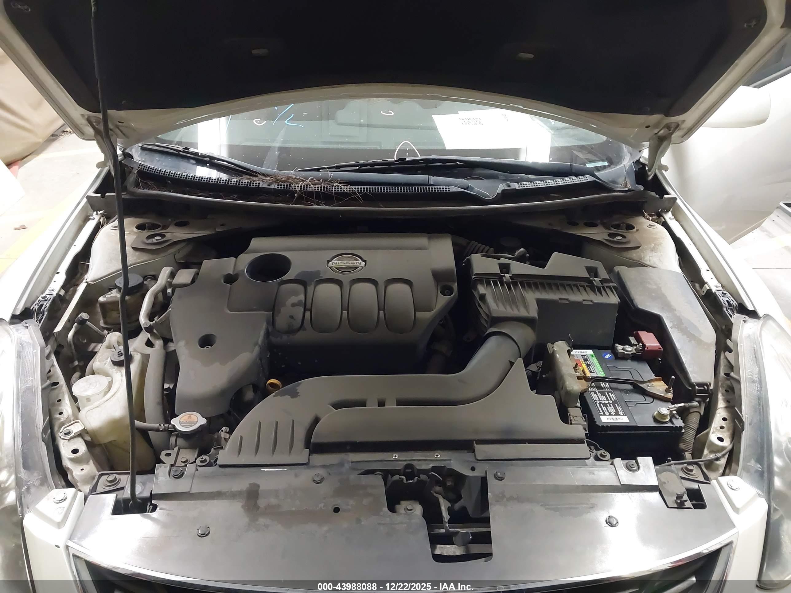NISSAN ALTIMA image 10