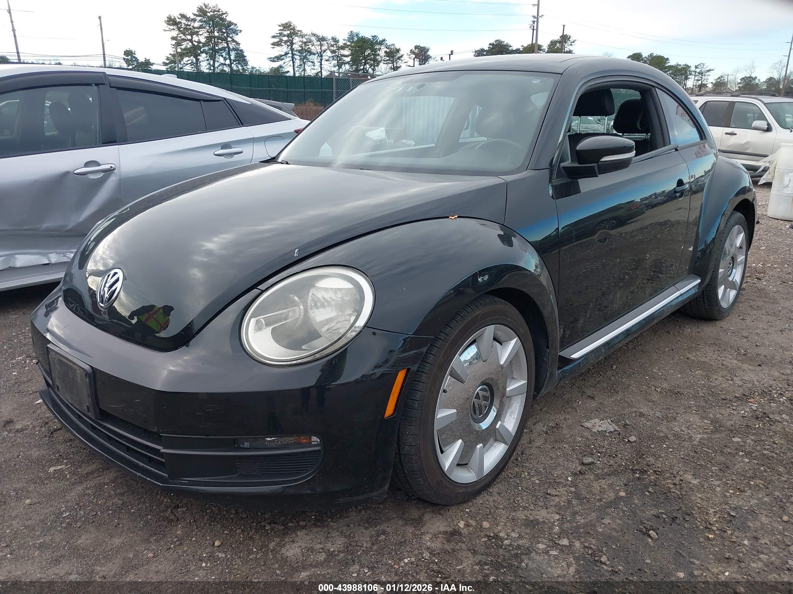VOLKSWAGEN BEETLE image 2