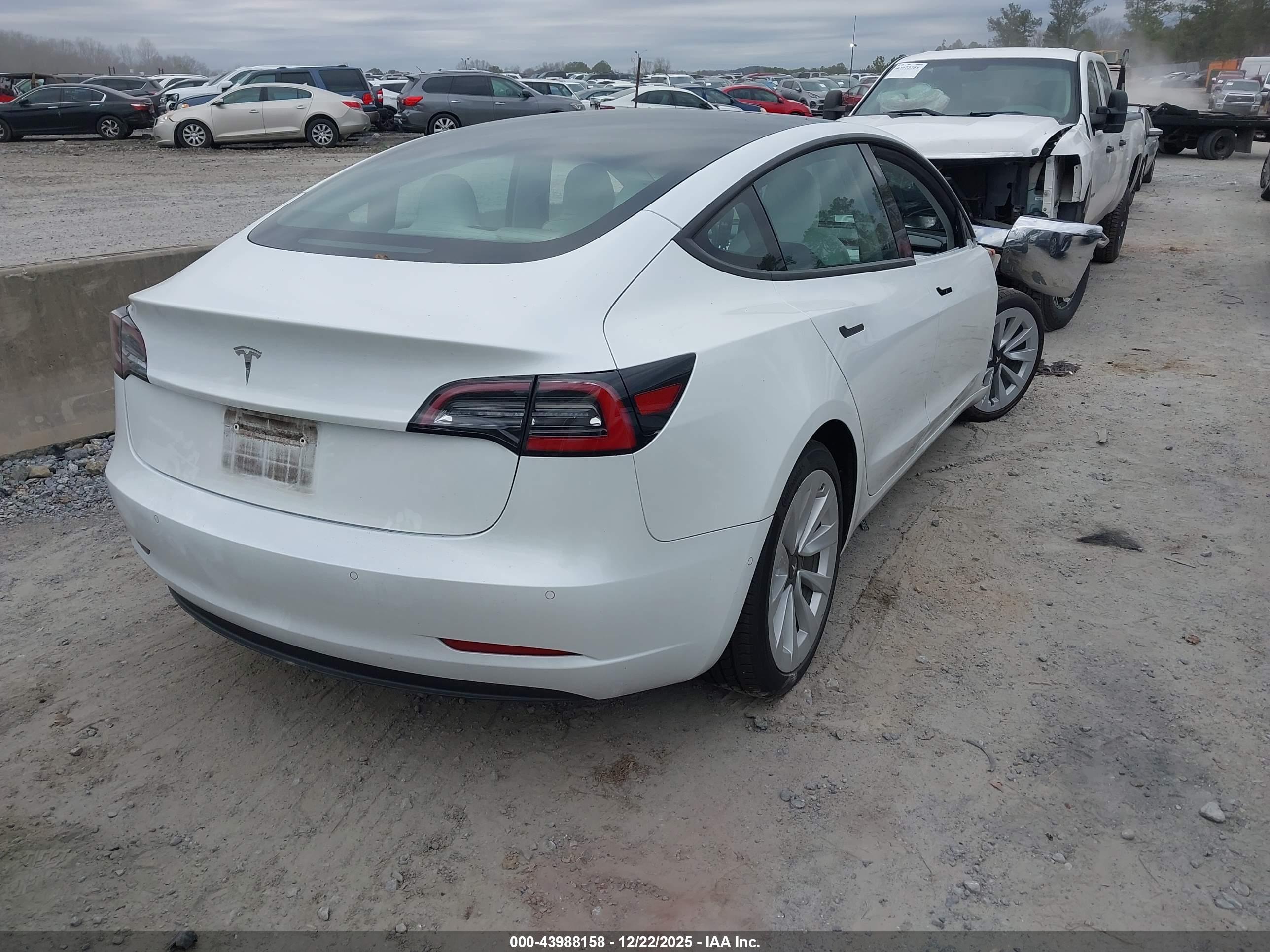 TESLA MODEL image 4