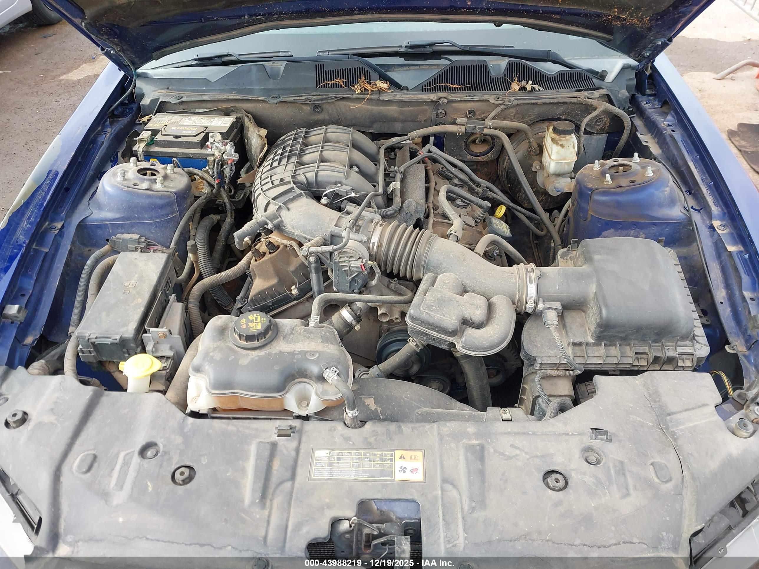 FORD MUSTANG image 10