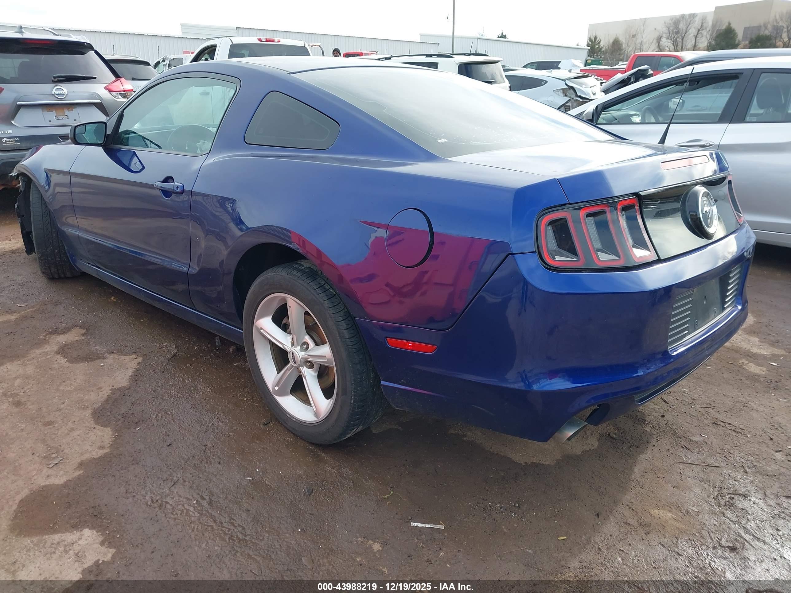 FORD MUSTANG image 3