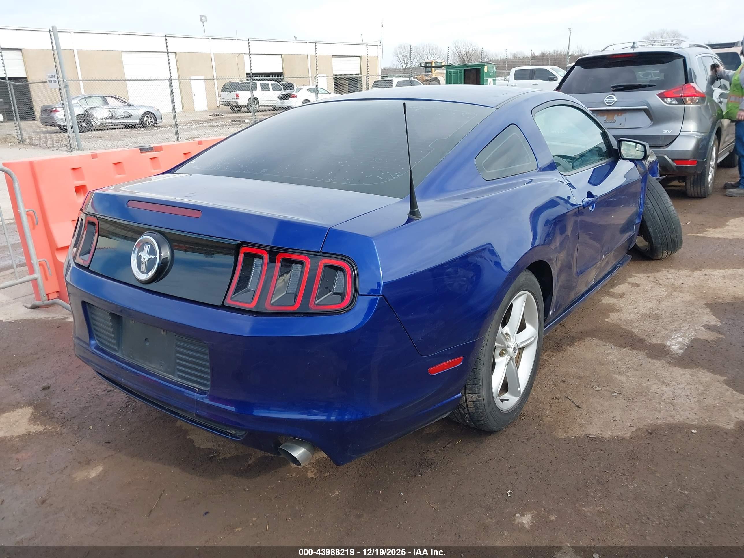 FORD MUSTANG image 4