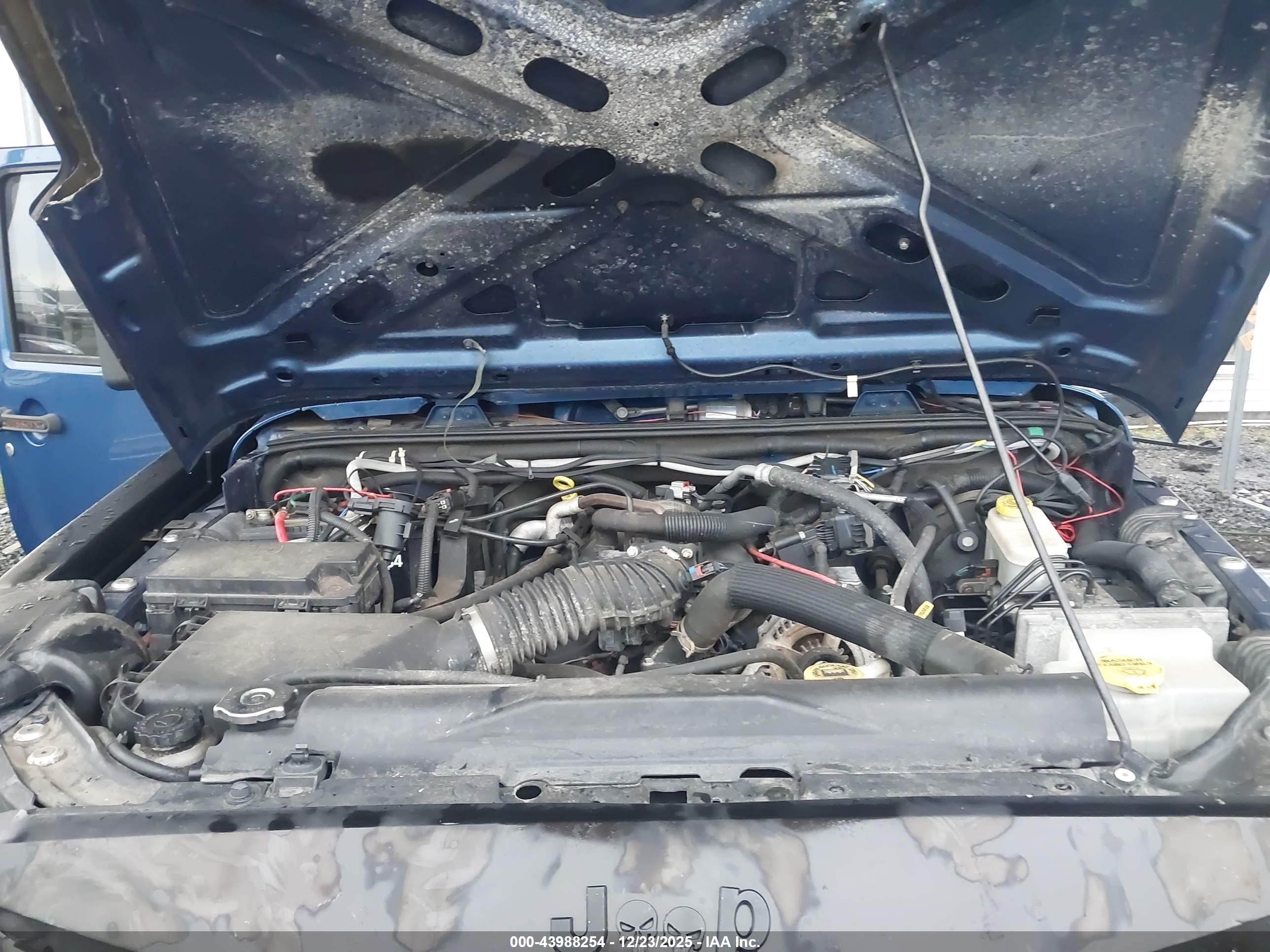 JEEP WRANGLER image 10