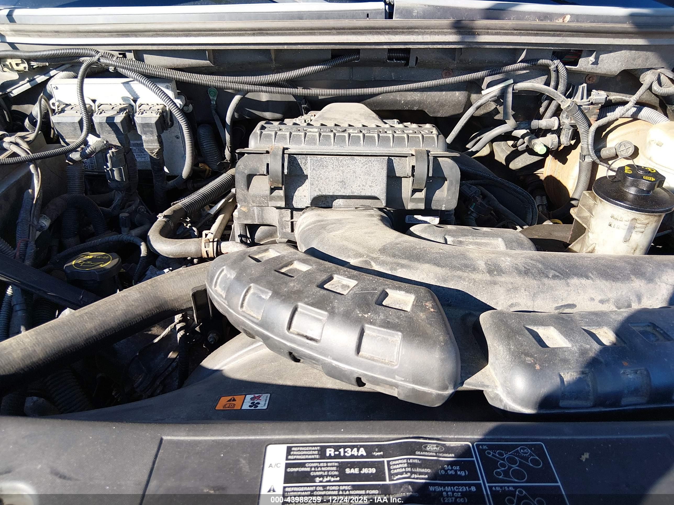 FORD F-150 image 10