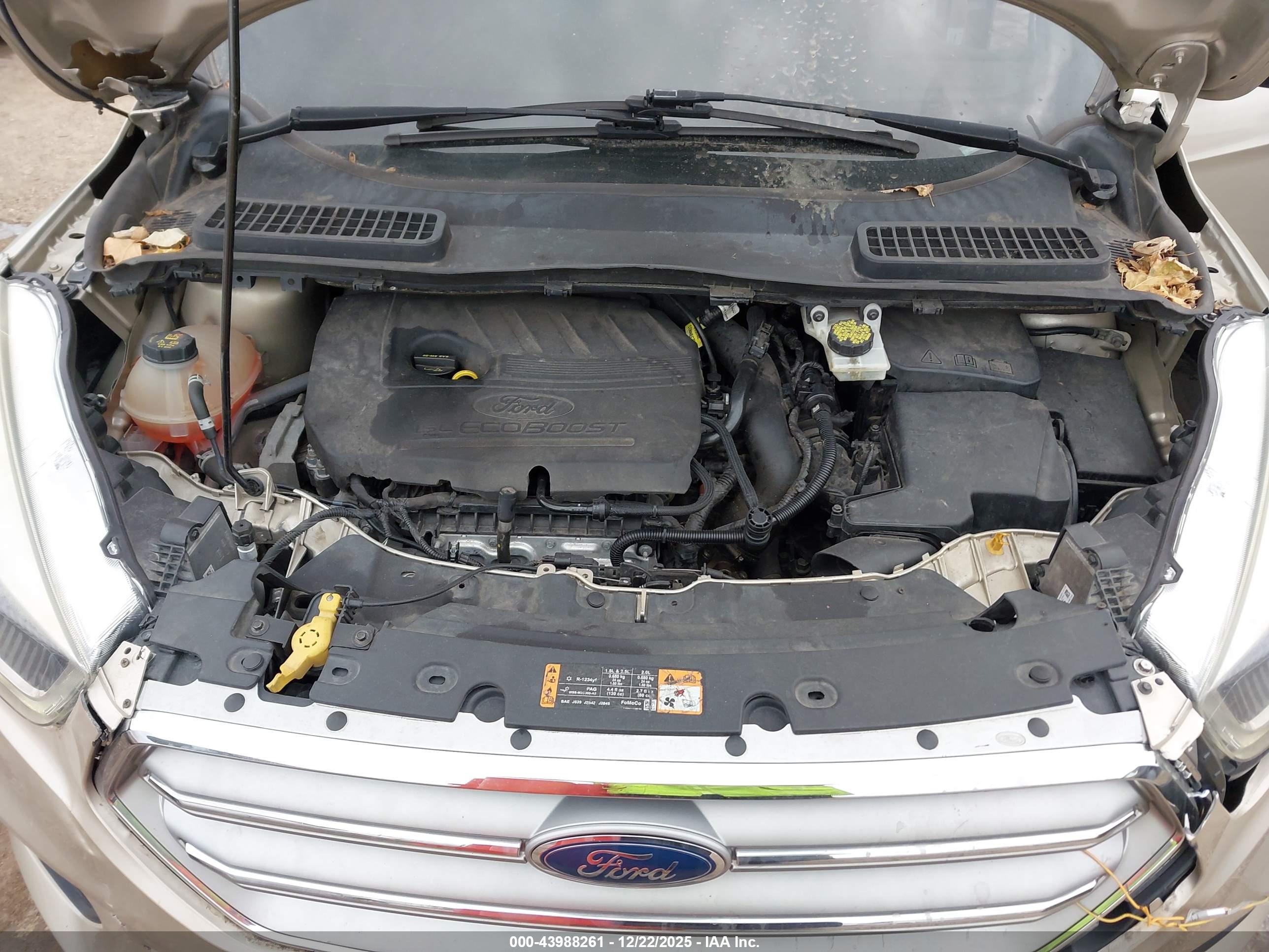 FORD ESCAPE image 10