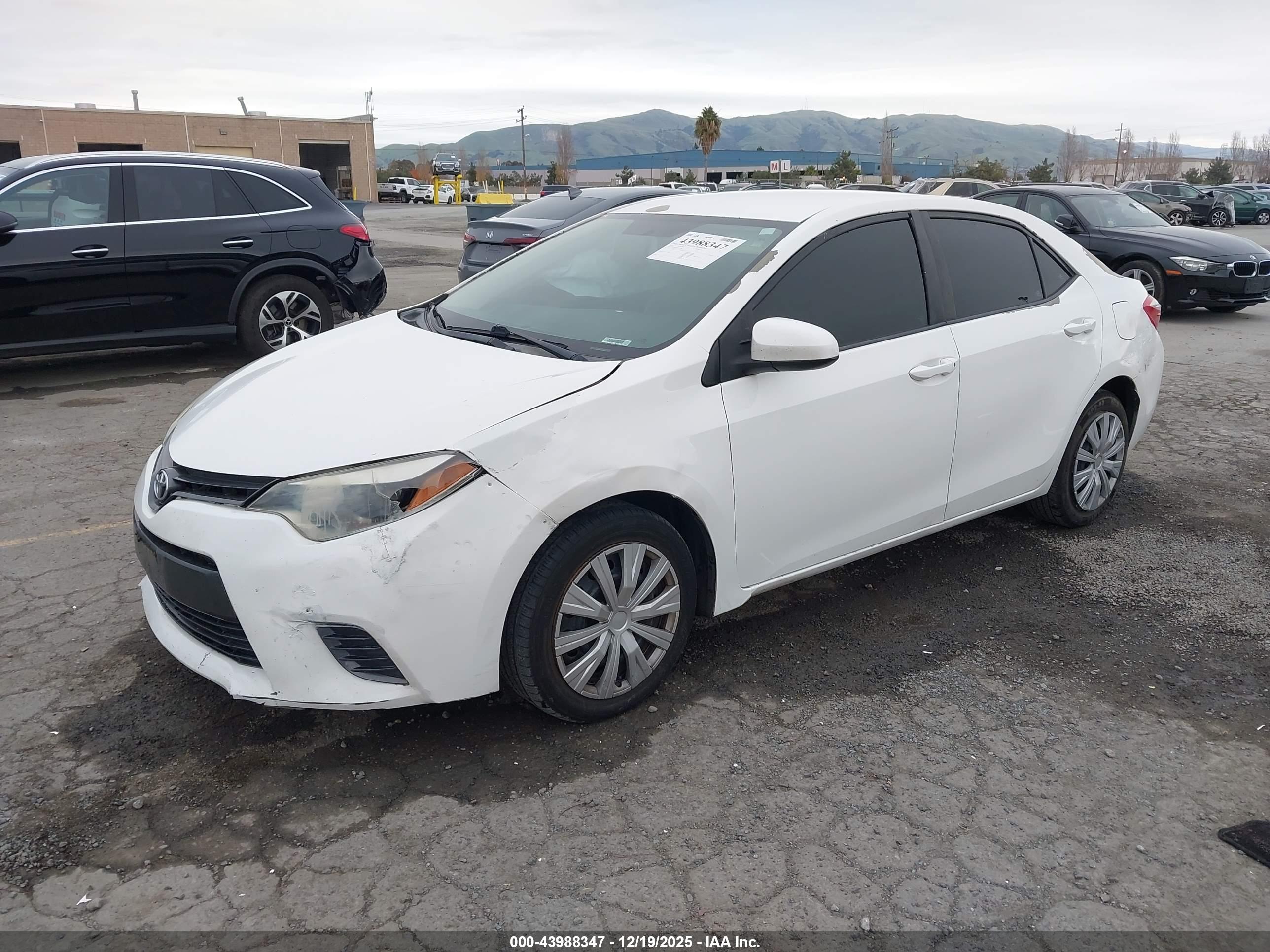 TOYOTA COROLLA image 2