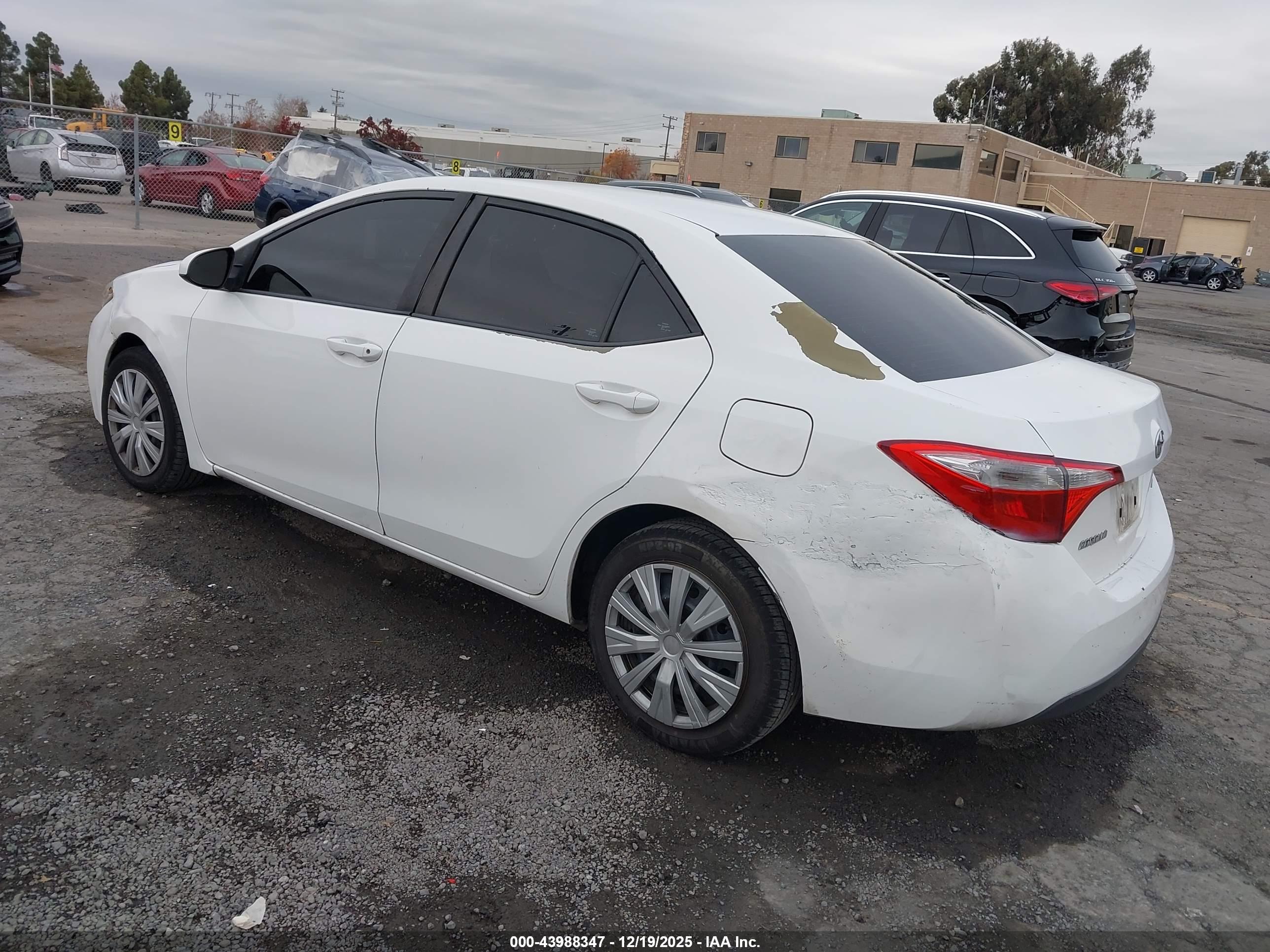 TOYOTA COROLLA image 3