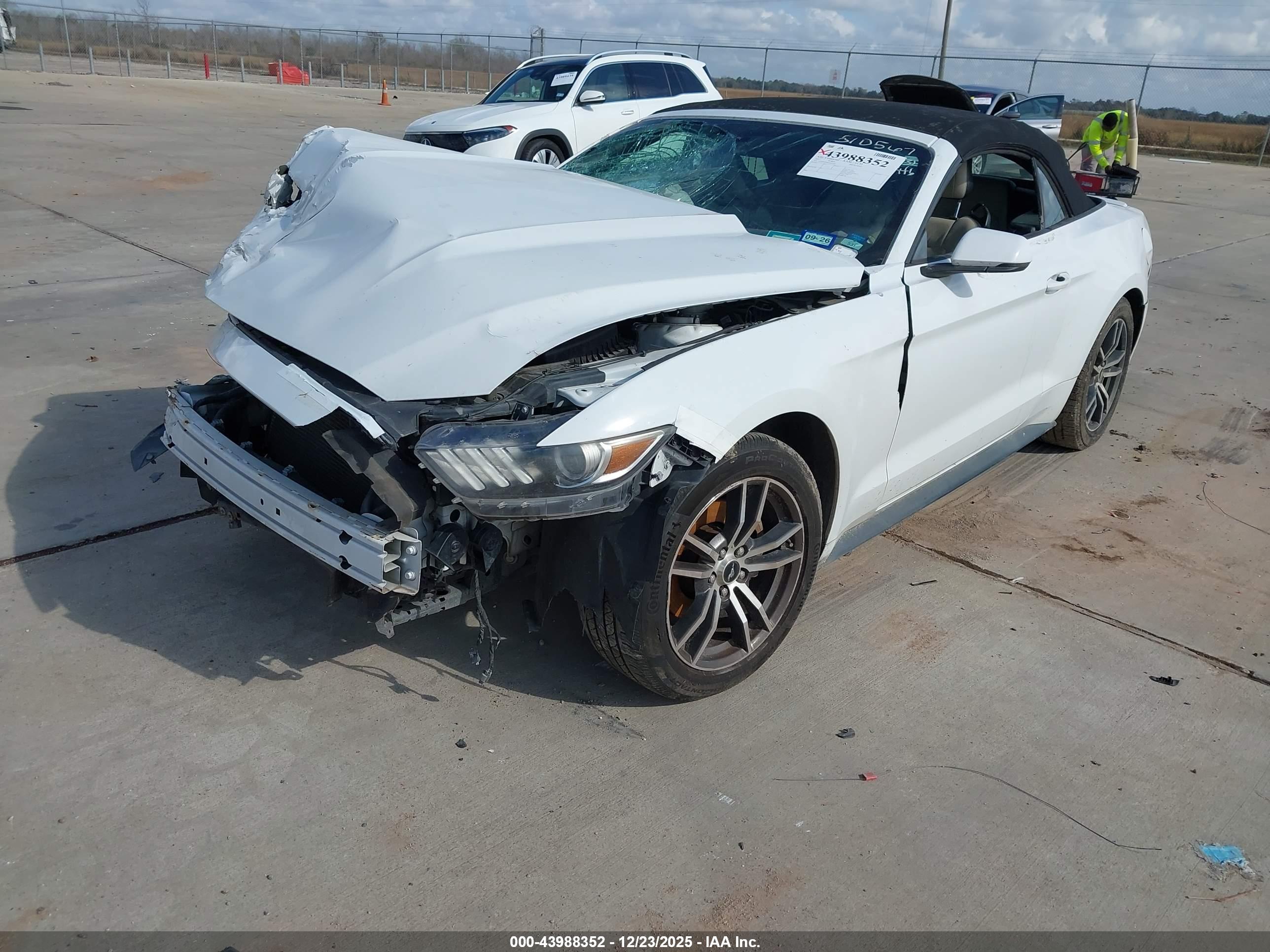 FORD MUSTANG image 2
