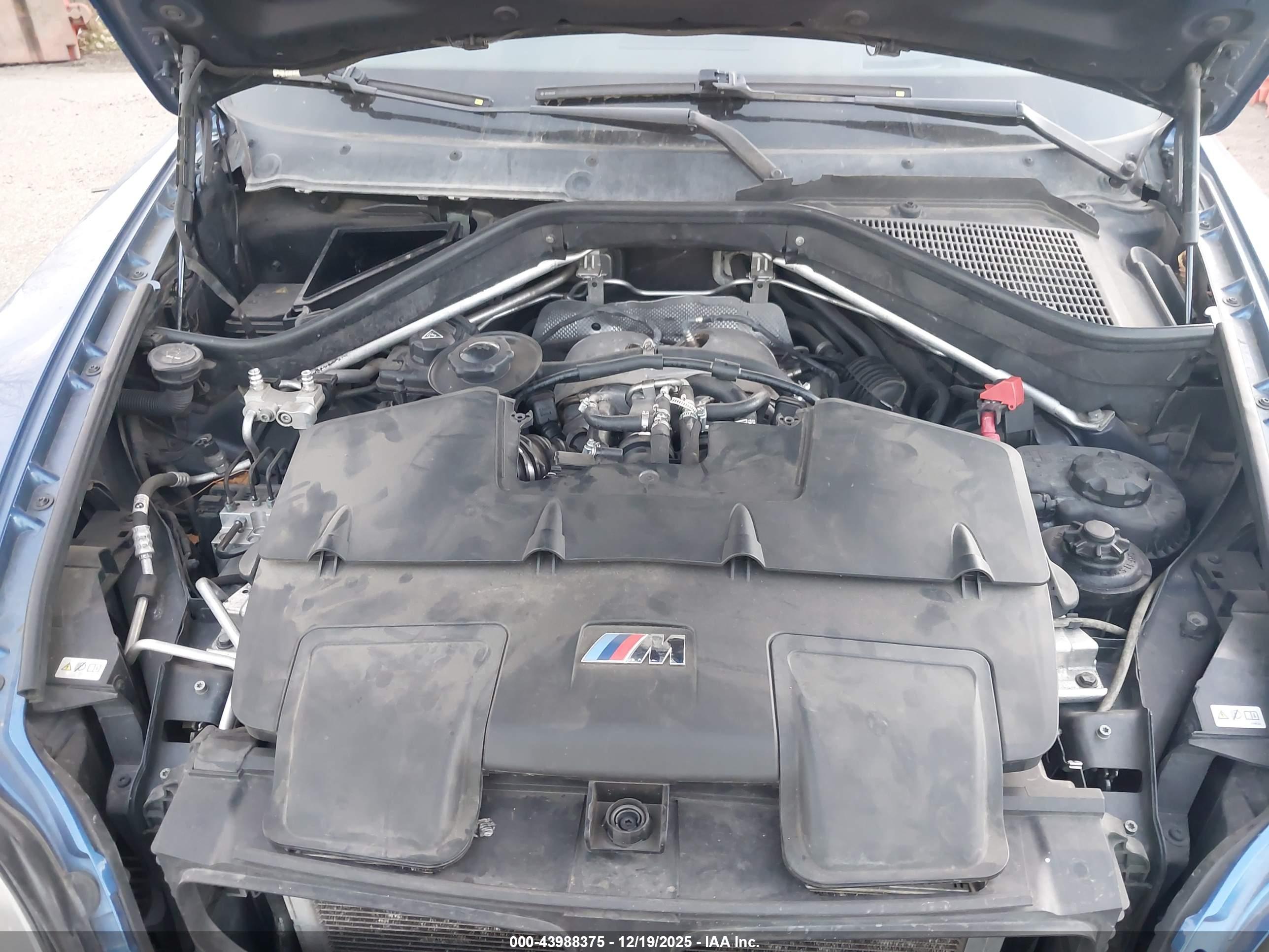 BMW X5 image 10
