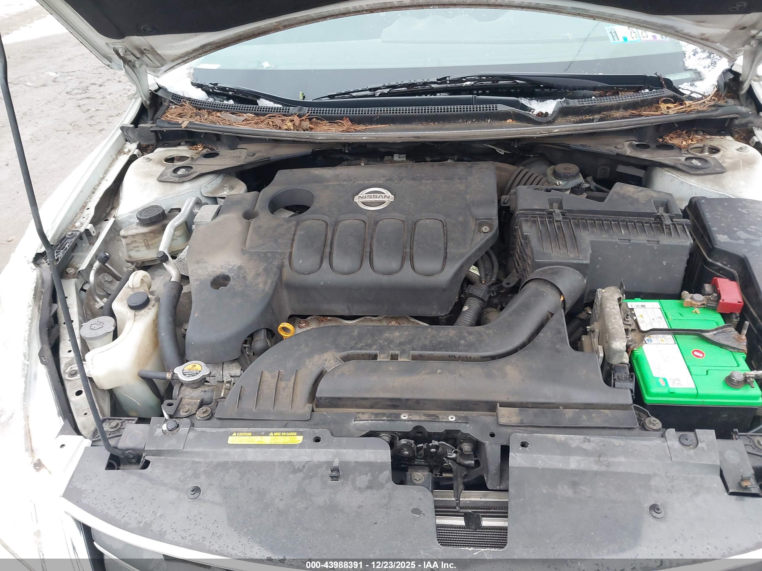 NISSAN ALTIMA image 10