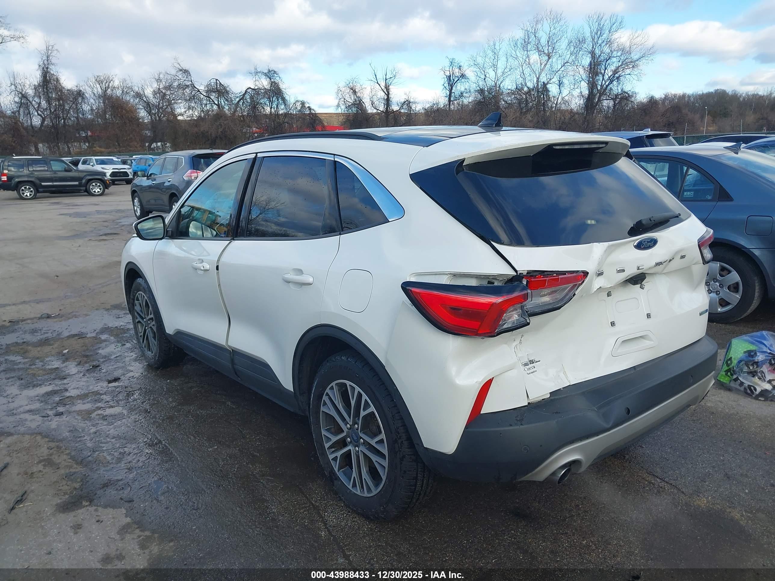 FORD ESCAPE image 3