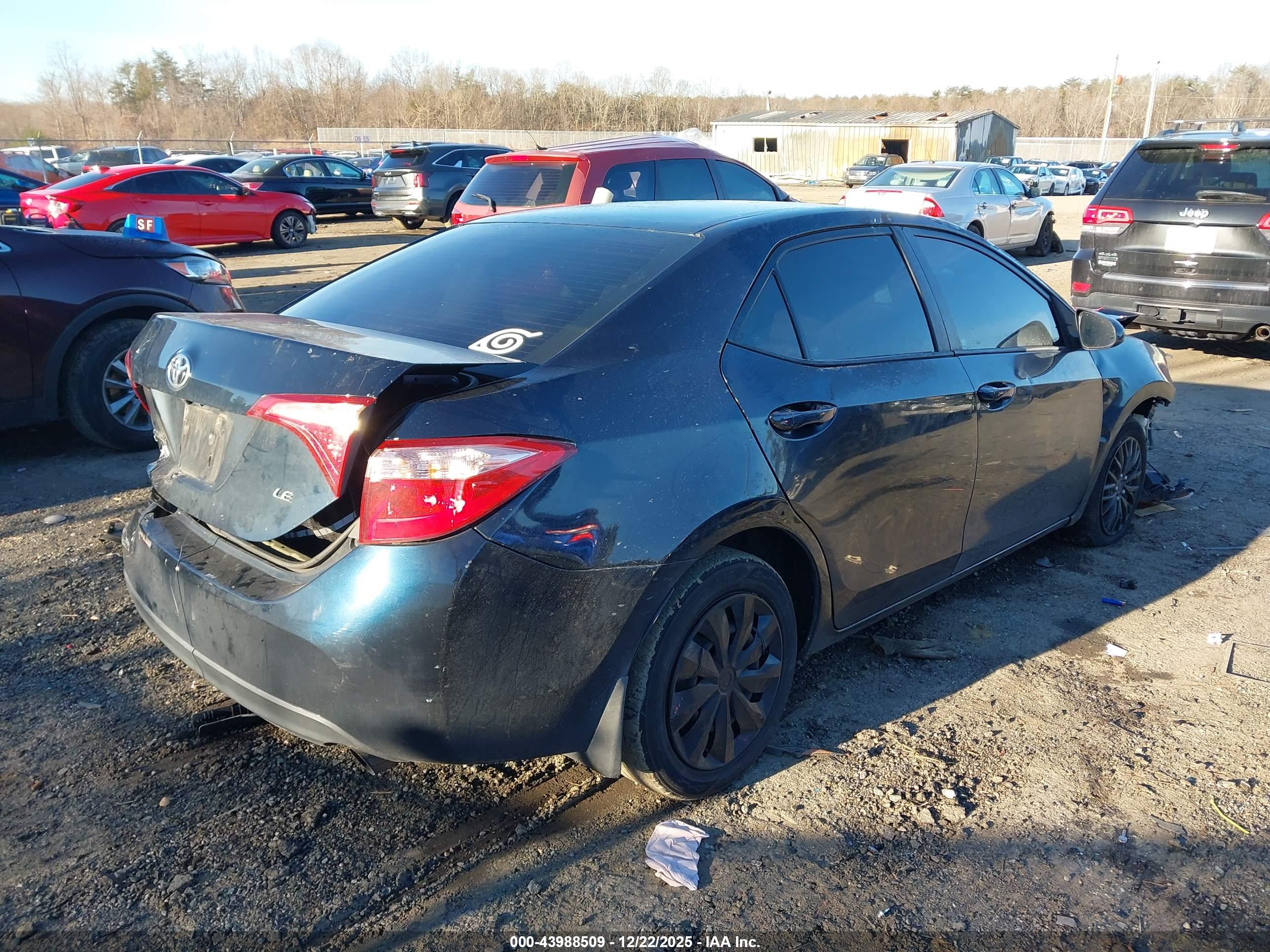 TOYOTA COROLLA image 4